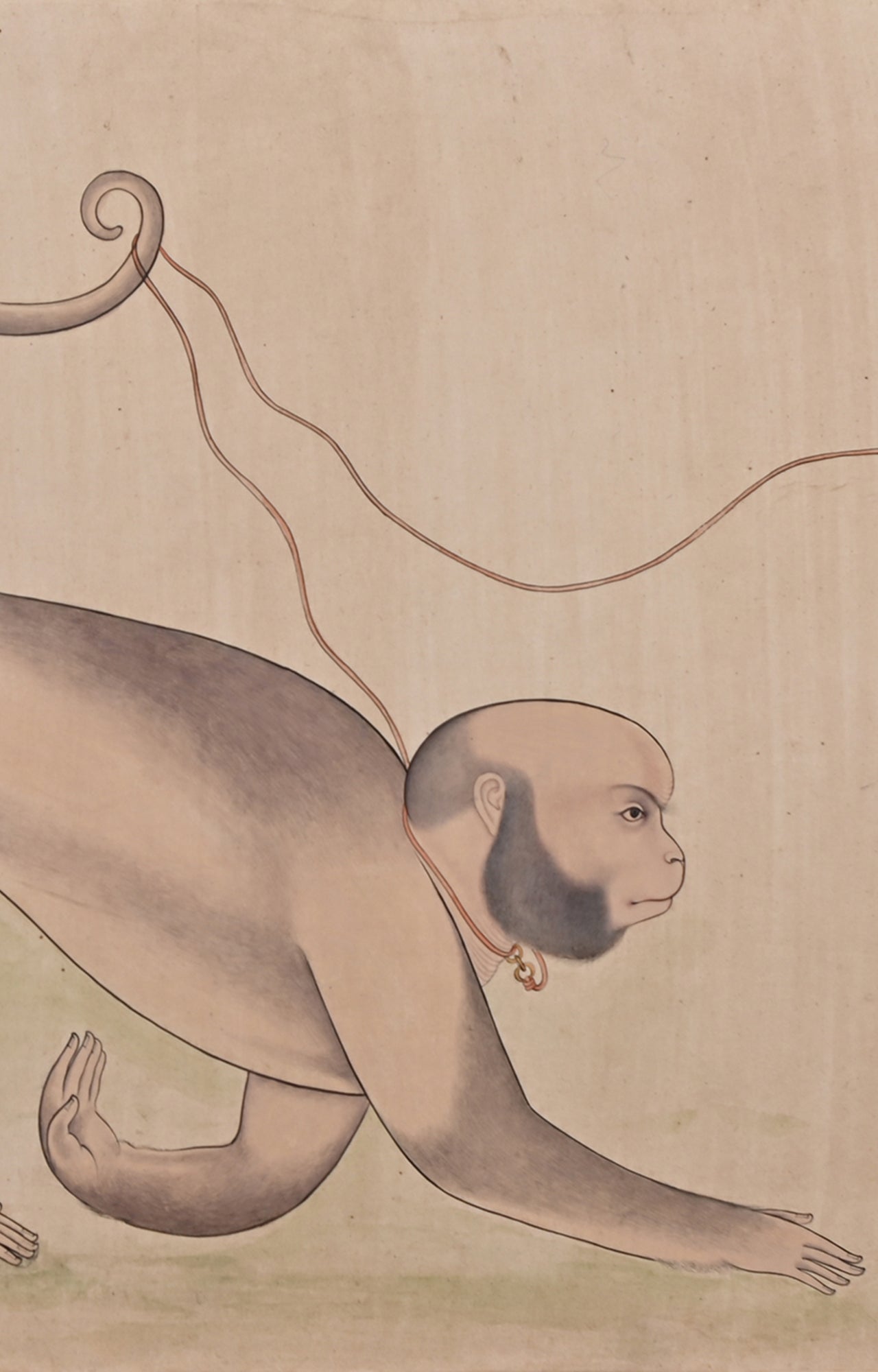 Mughal Art Monkey Street