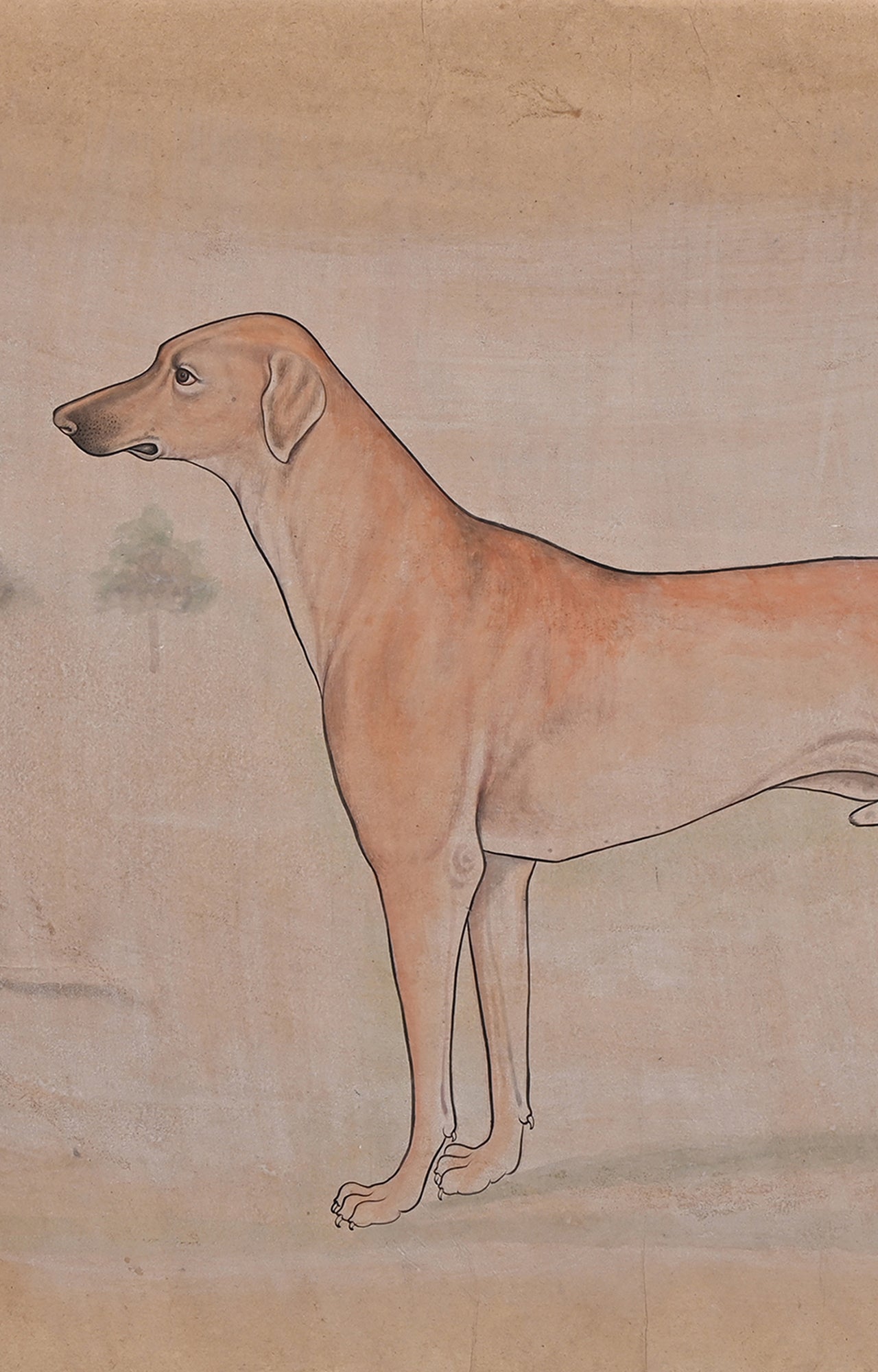 Mughart dog art