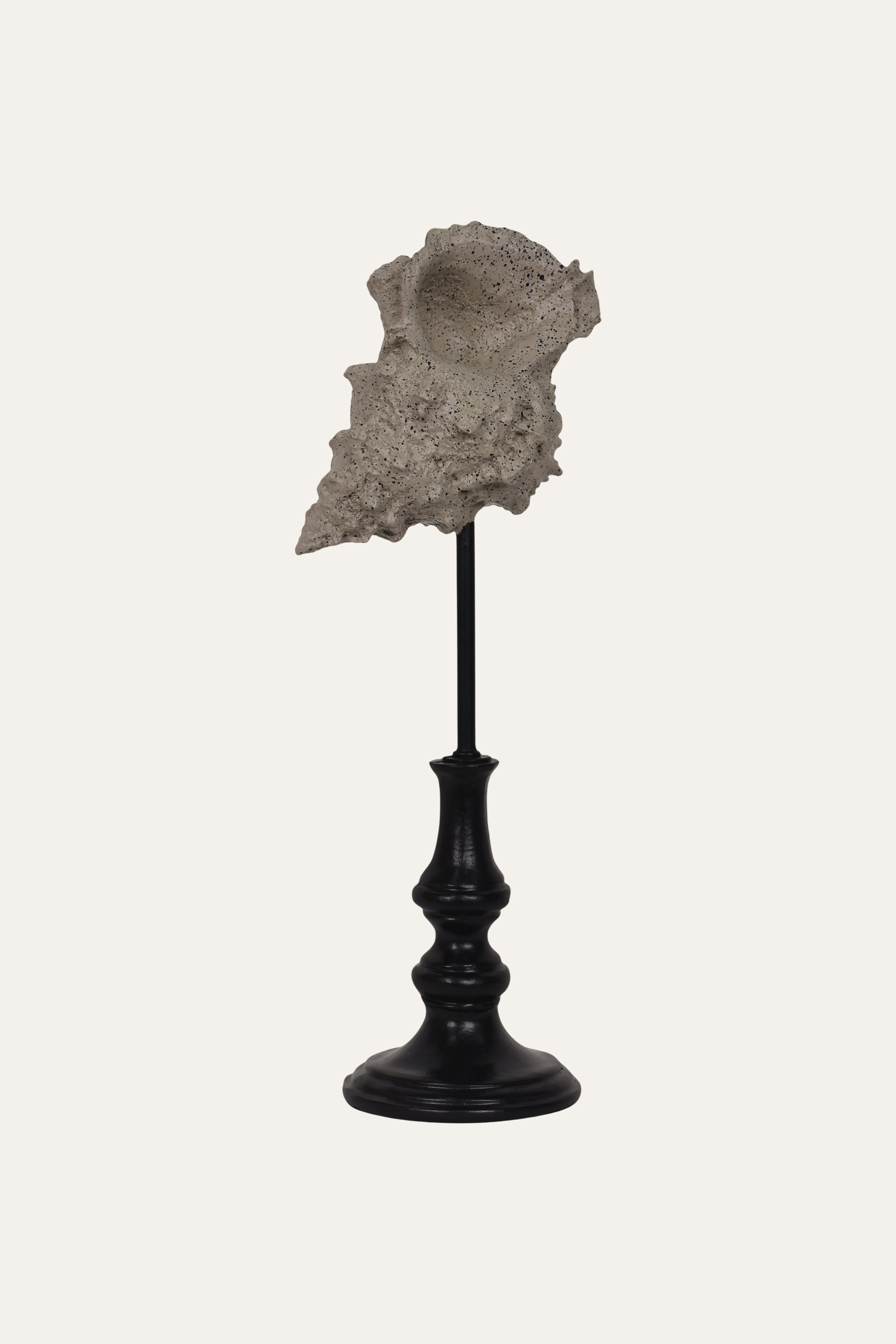 Decorative Marine Fossil Resin Sculpture Set