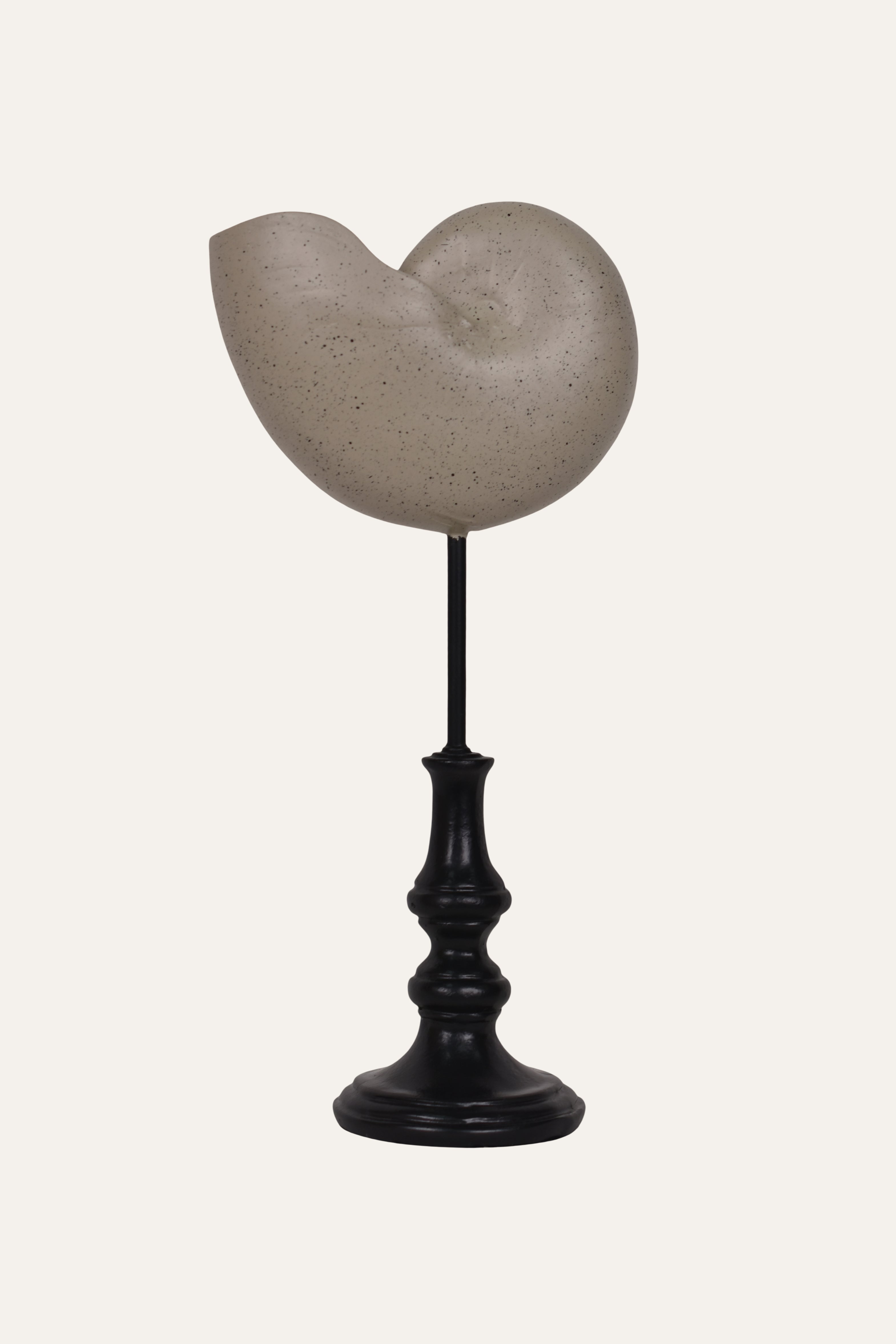 Decorative Marine Fossil Resin Sculpture Set