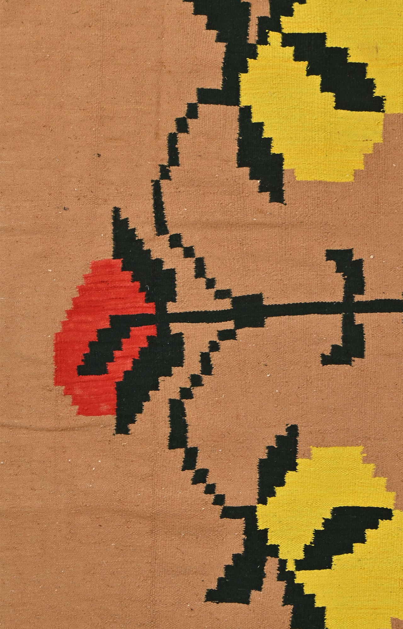 Punjabi Durrie with Floral Motifs