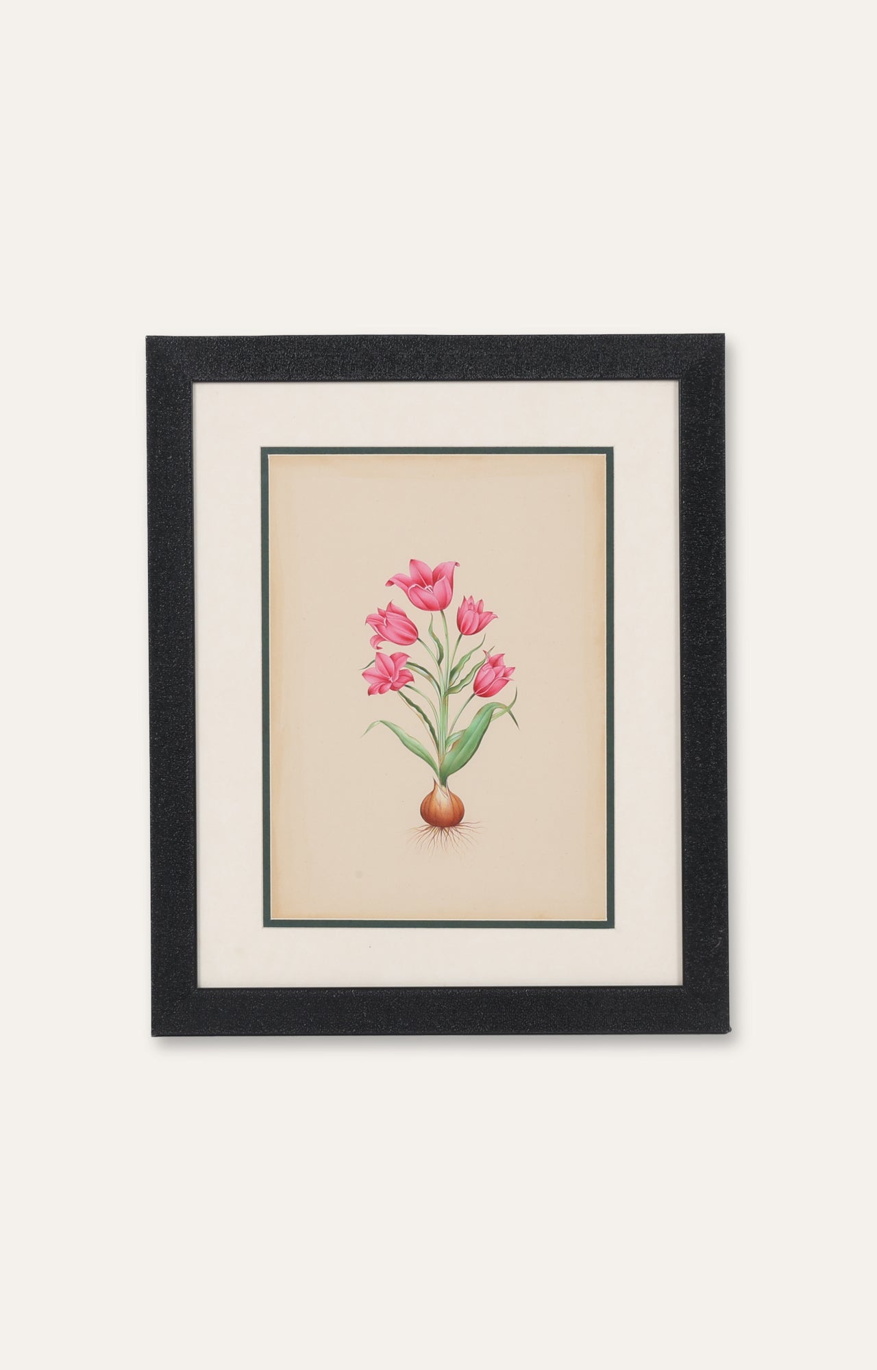 German Tulip by Basilius Besler - Miniature Painting
