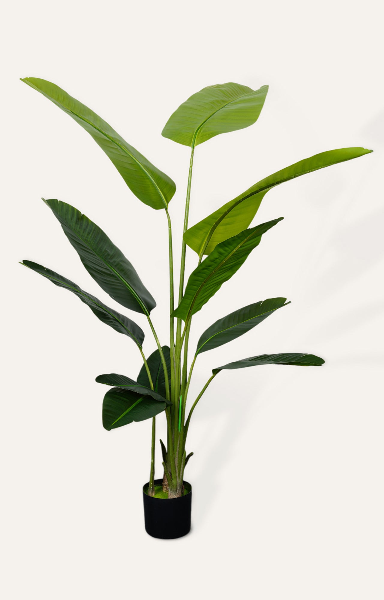 Artificial Bird of Paradise Plant – 6 Feet