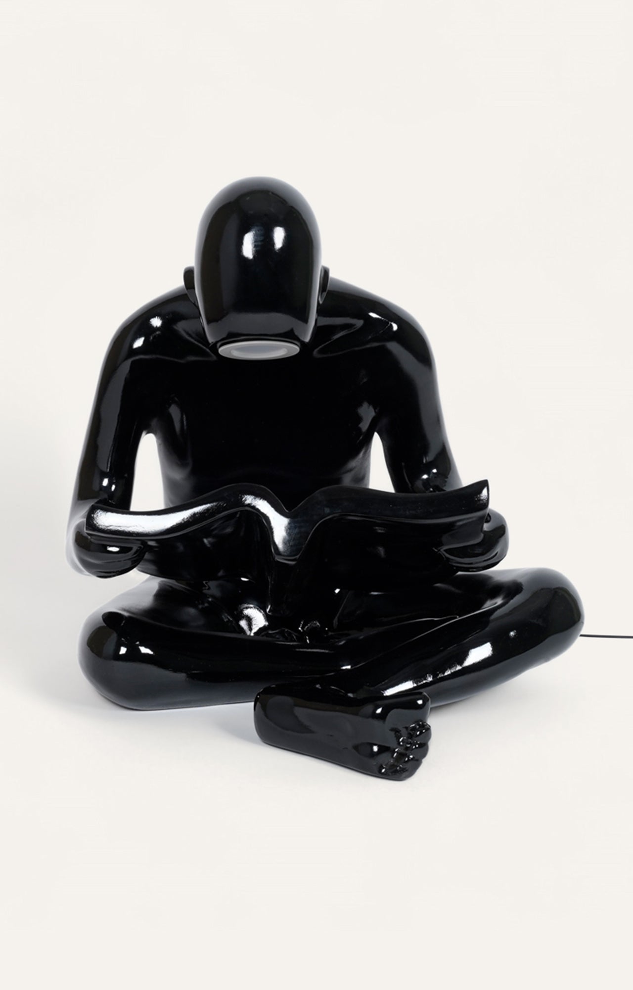 The Illuminated Scholar