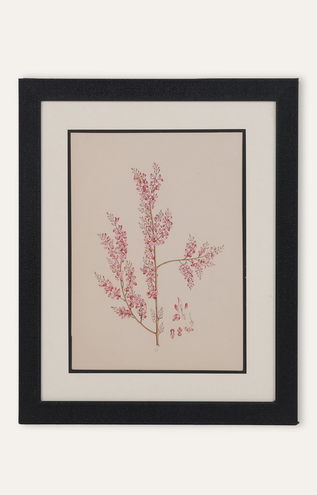 Vintage Botanical Japanese Flower Miniature Painting