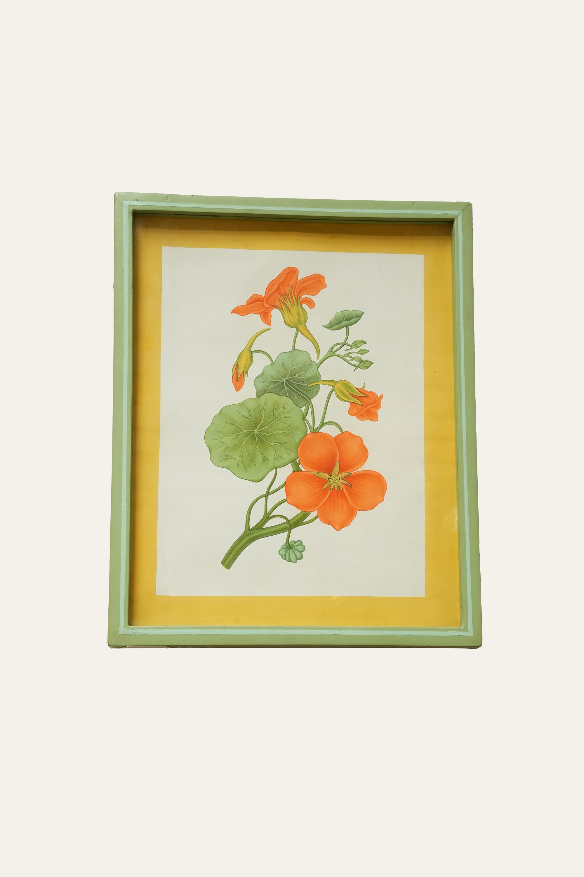 Indian Cress Botanical Art