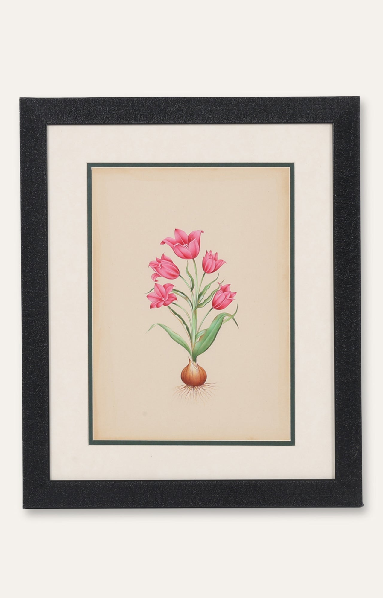 German Tulip by Basilius Besler - Miniature Painting