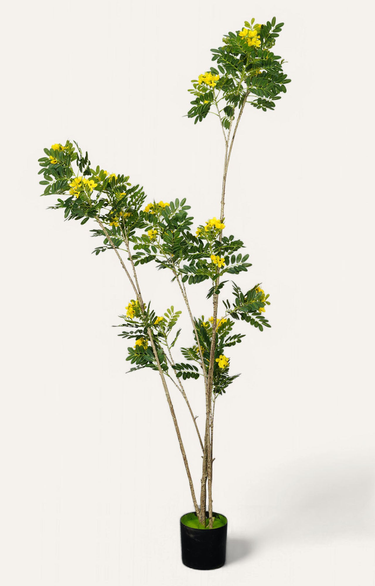 Artificial Yellow Mimosa Plant – 7.5 Feet