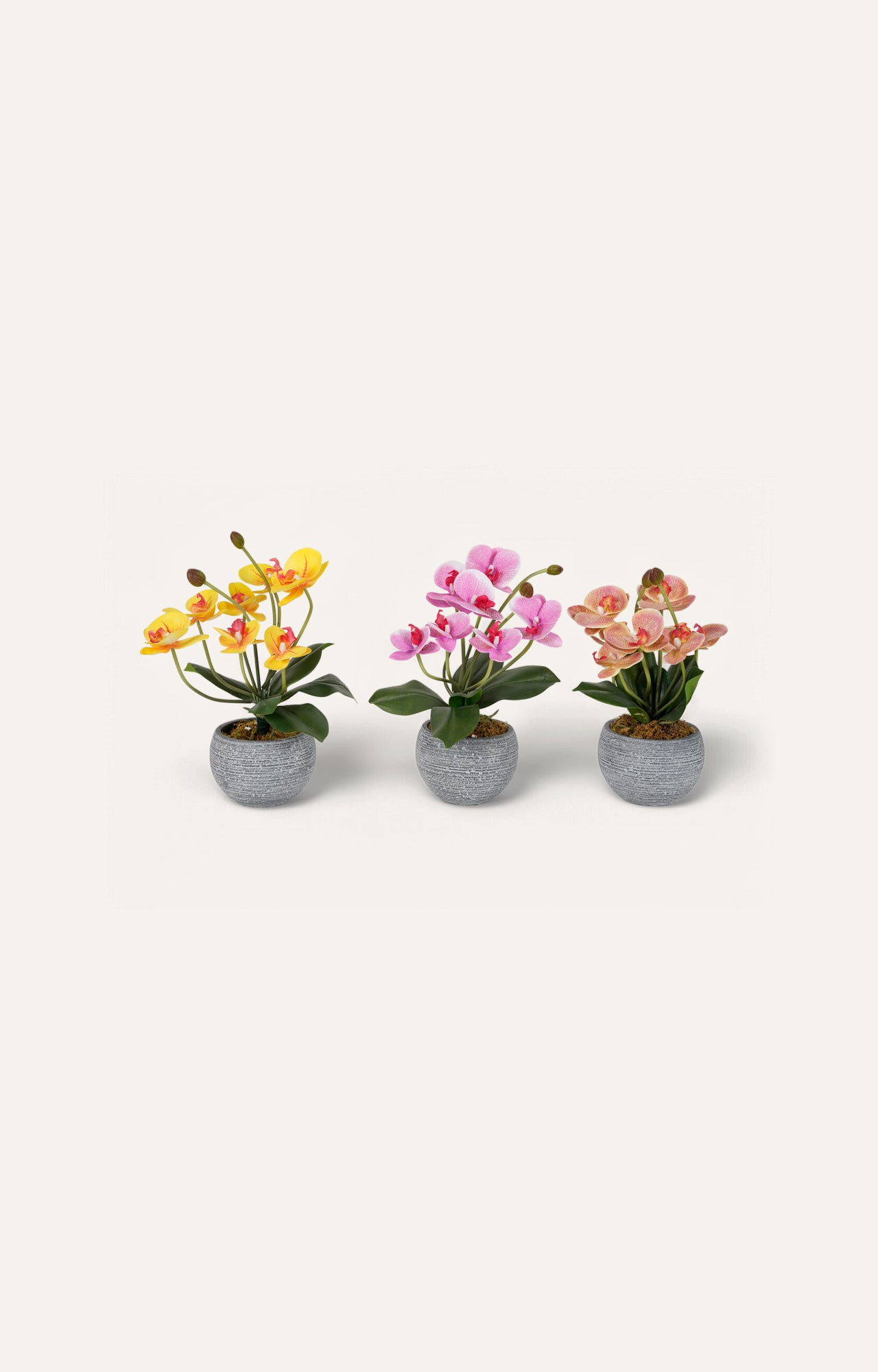 Artificial Blooming Orchid Trio – Set of 3