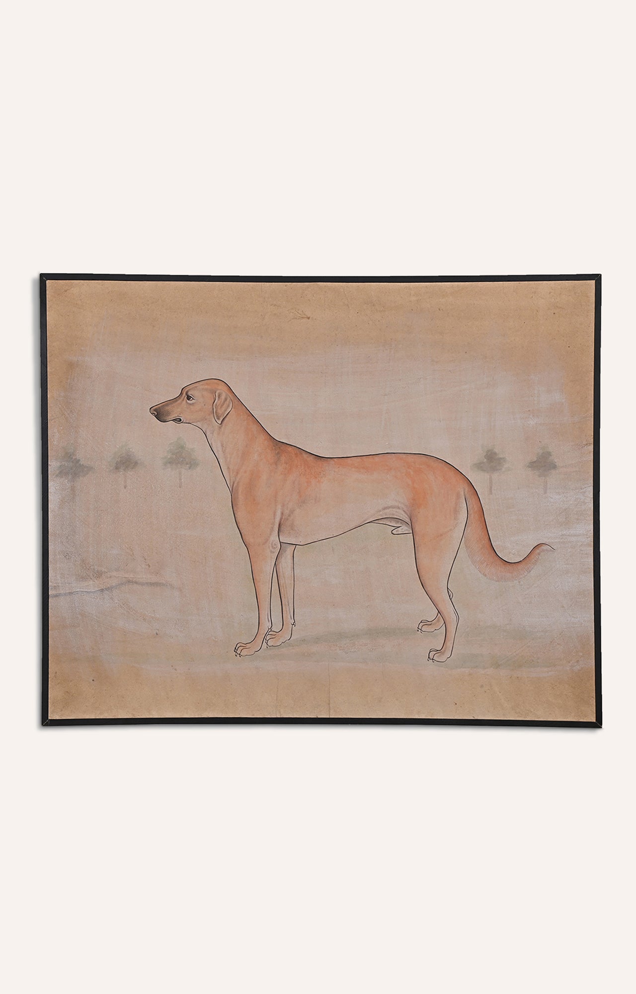 The Dog’s Tranquility