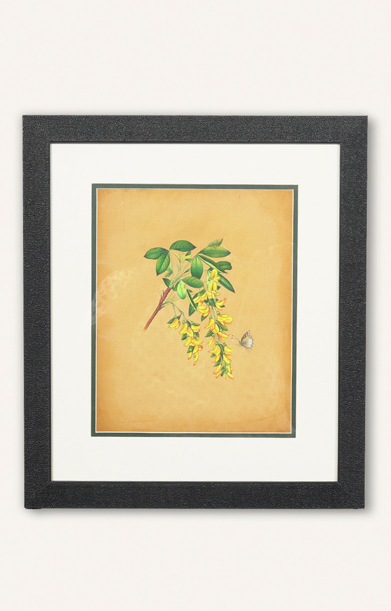Hand-Painted Framed Butterfly on a Branch of Yellow Flowers