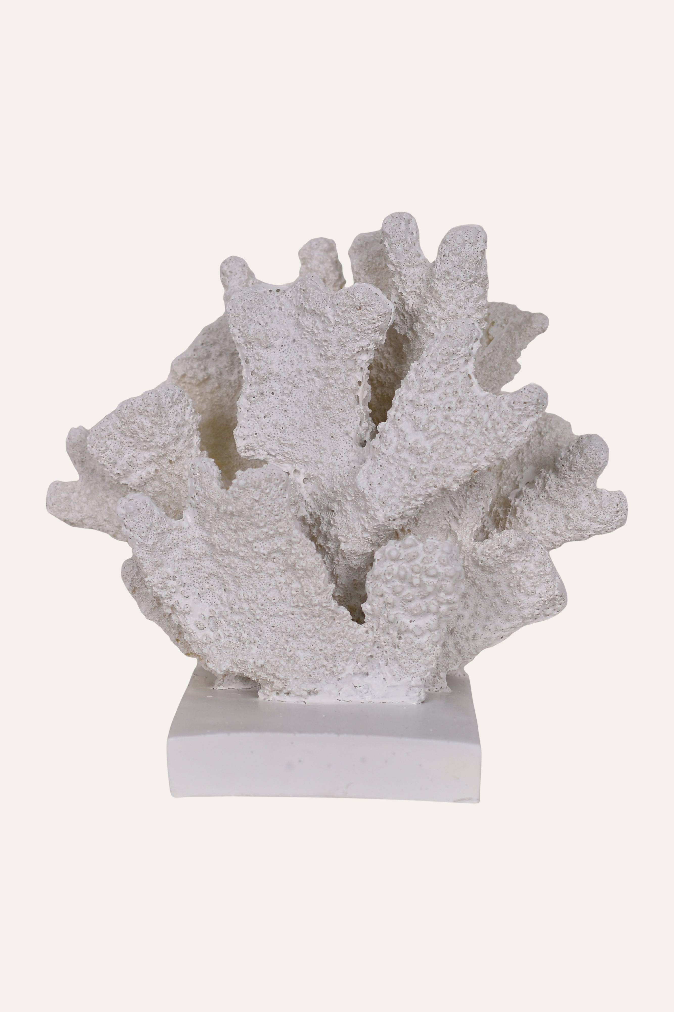 Decorative White Resin Fan Coral Sculpture on Base Table Décor Accent