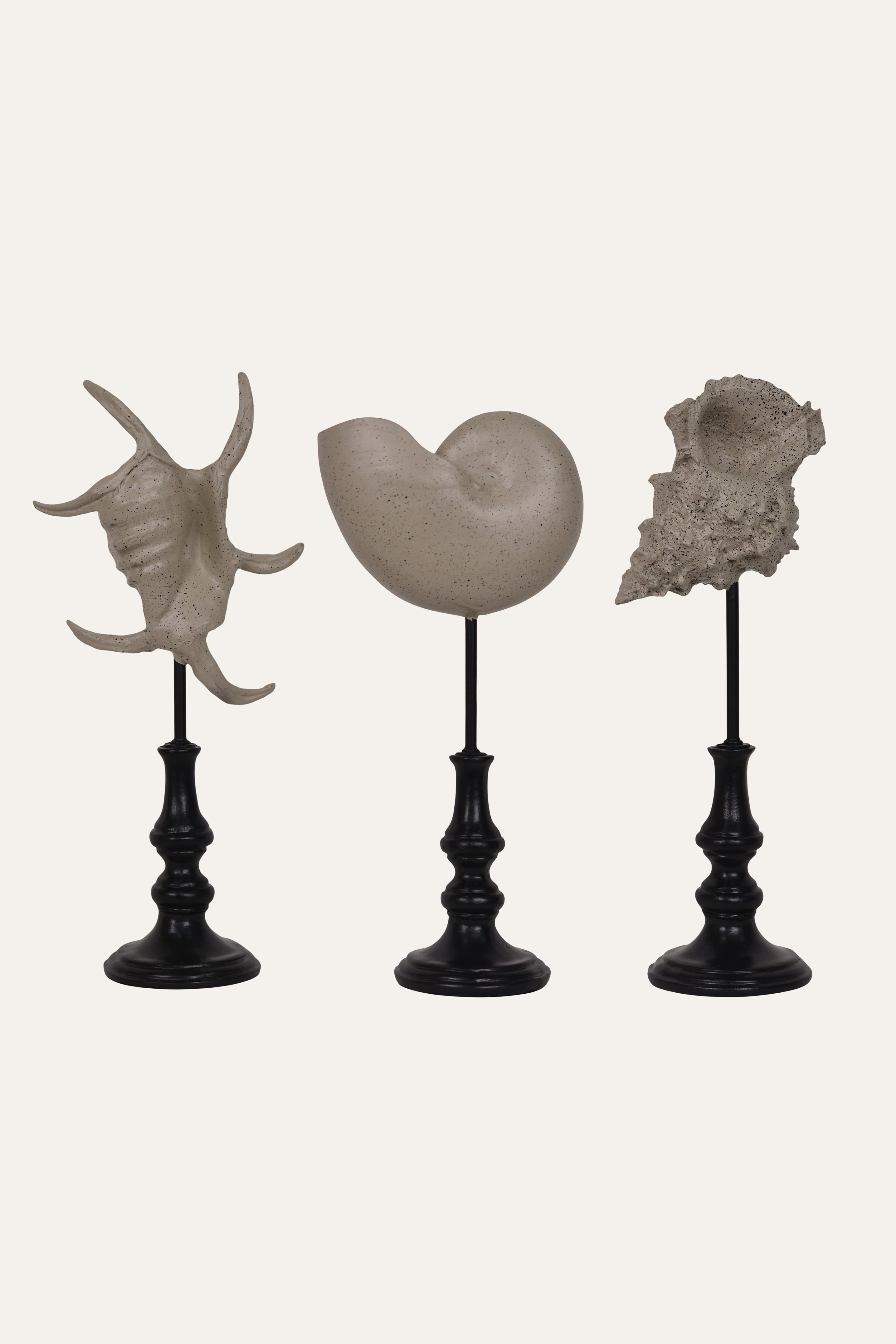 Decorative Marine Fossil Resin Sculpture Set