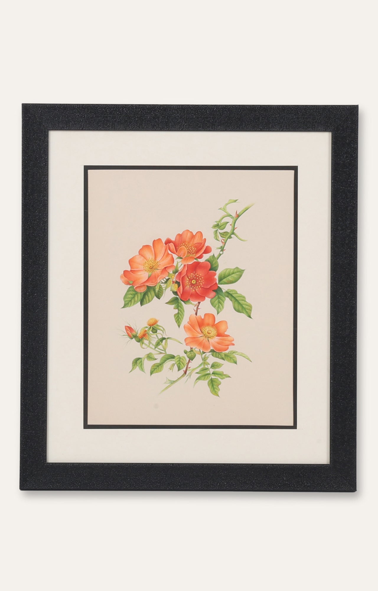 Wild Rose Miniature Painting