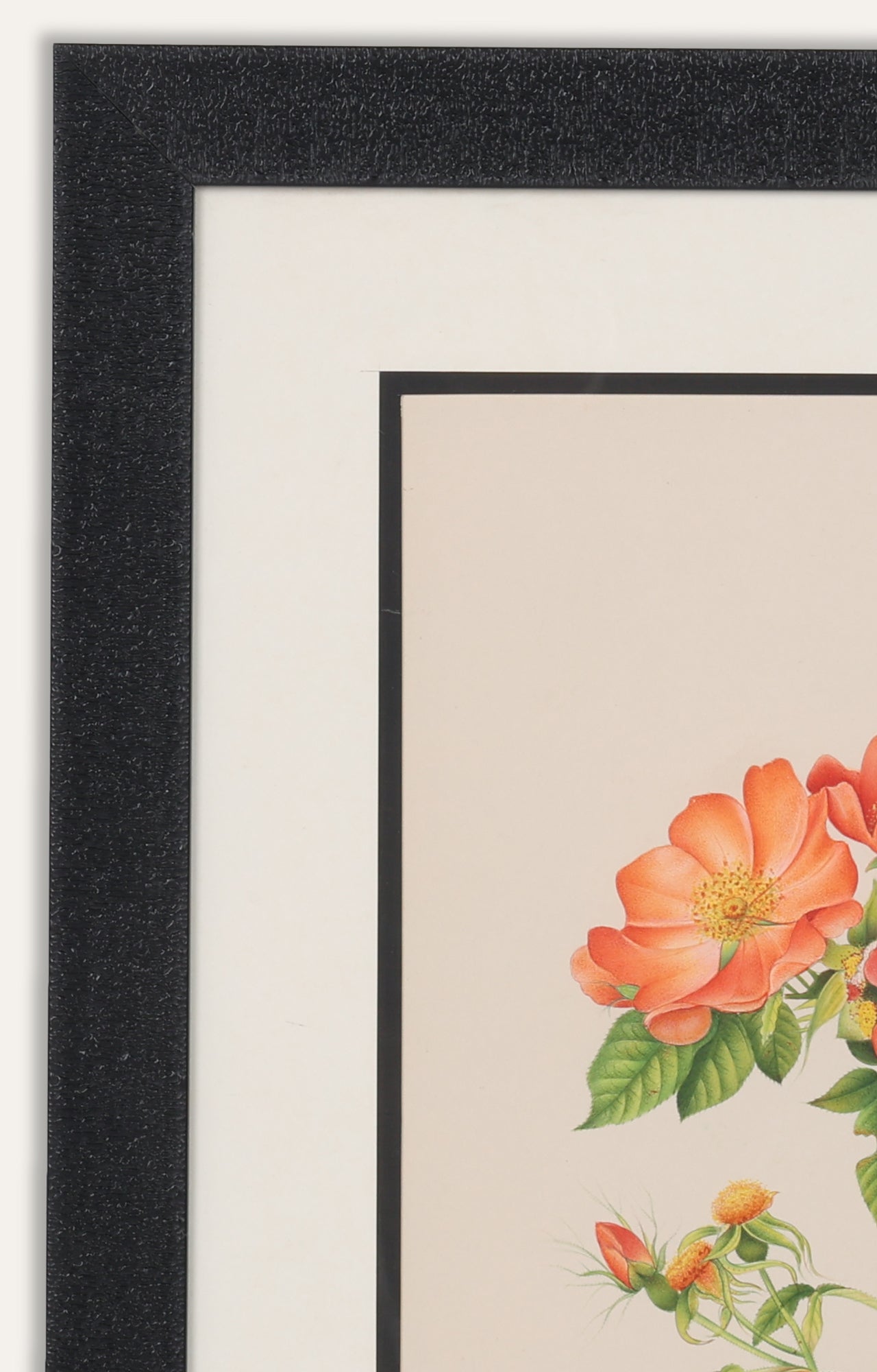 Wild Rose Painting