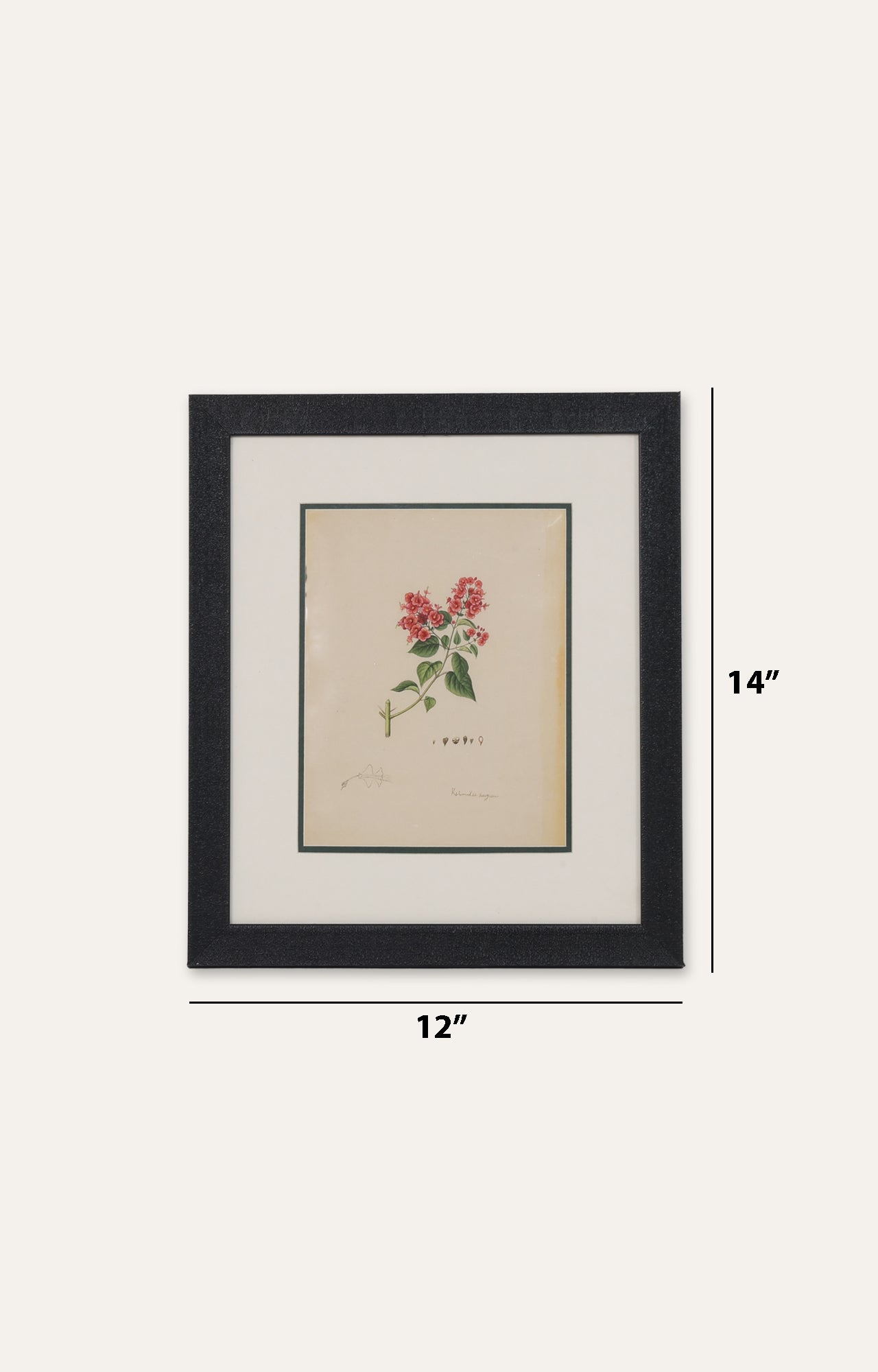 Vintage Botanical Miniature Painting