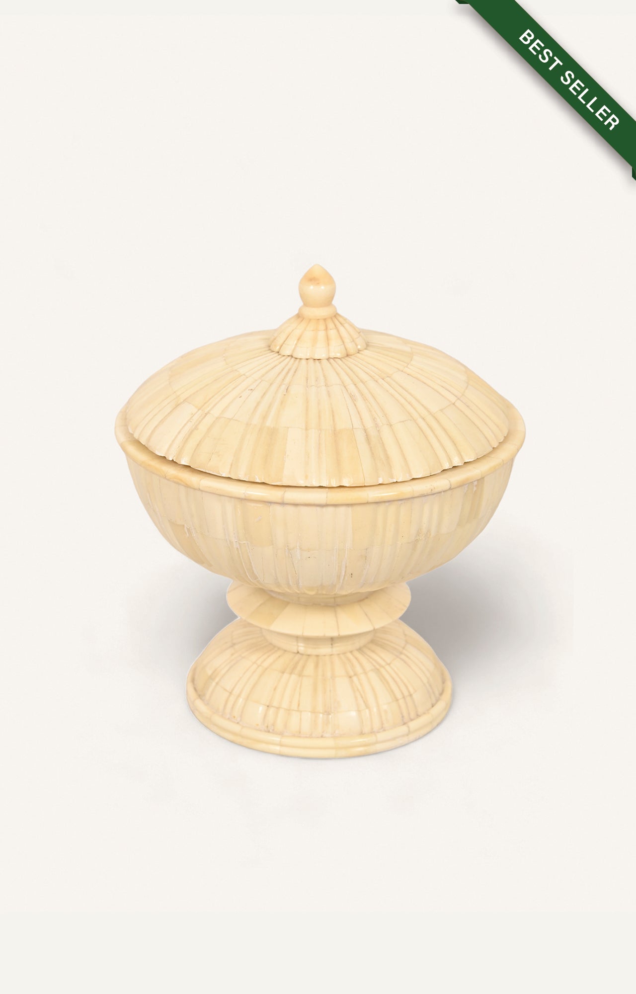 Camel bone lidded pedestal box with dome lid and fluted surface design