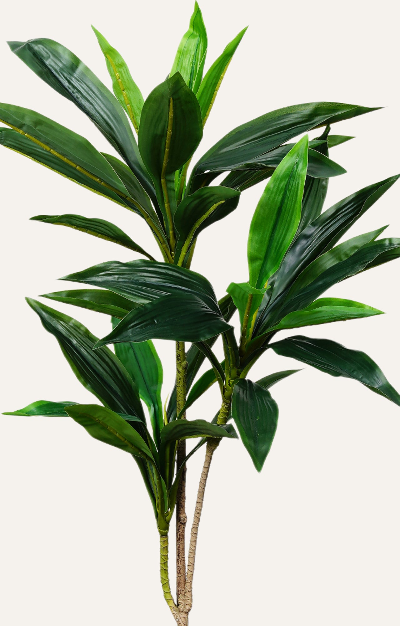 Artificial Dracaena Corn Plant – 3 Feet