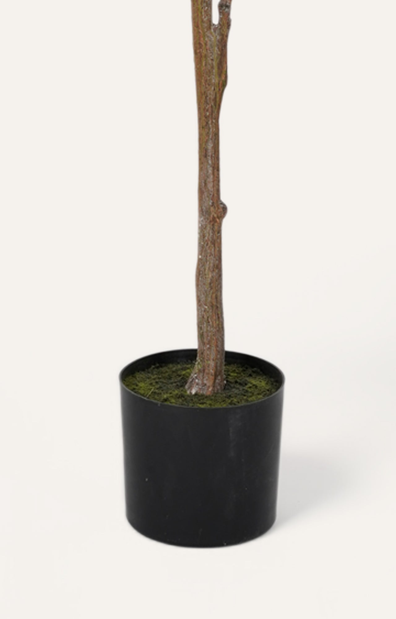 Artificial Green Ficus Tree - 6 Feet