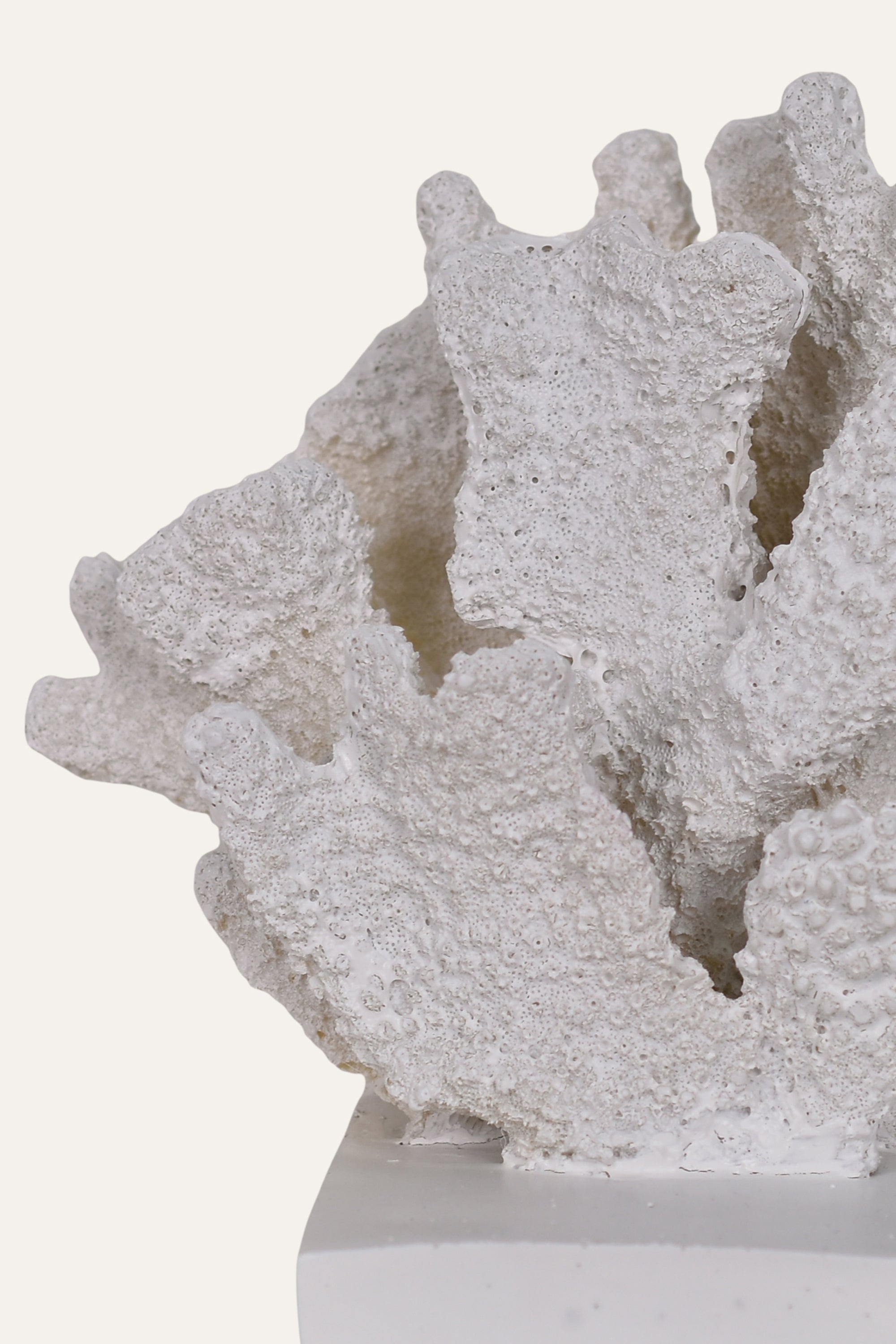 Decorative White Resin Fan Coral Sculpture on Base Table Décor Accent