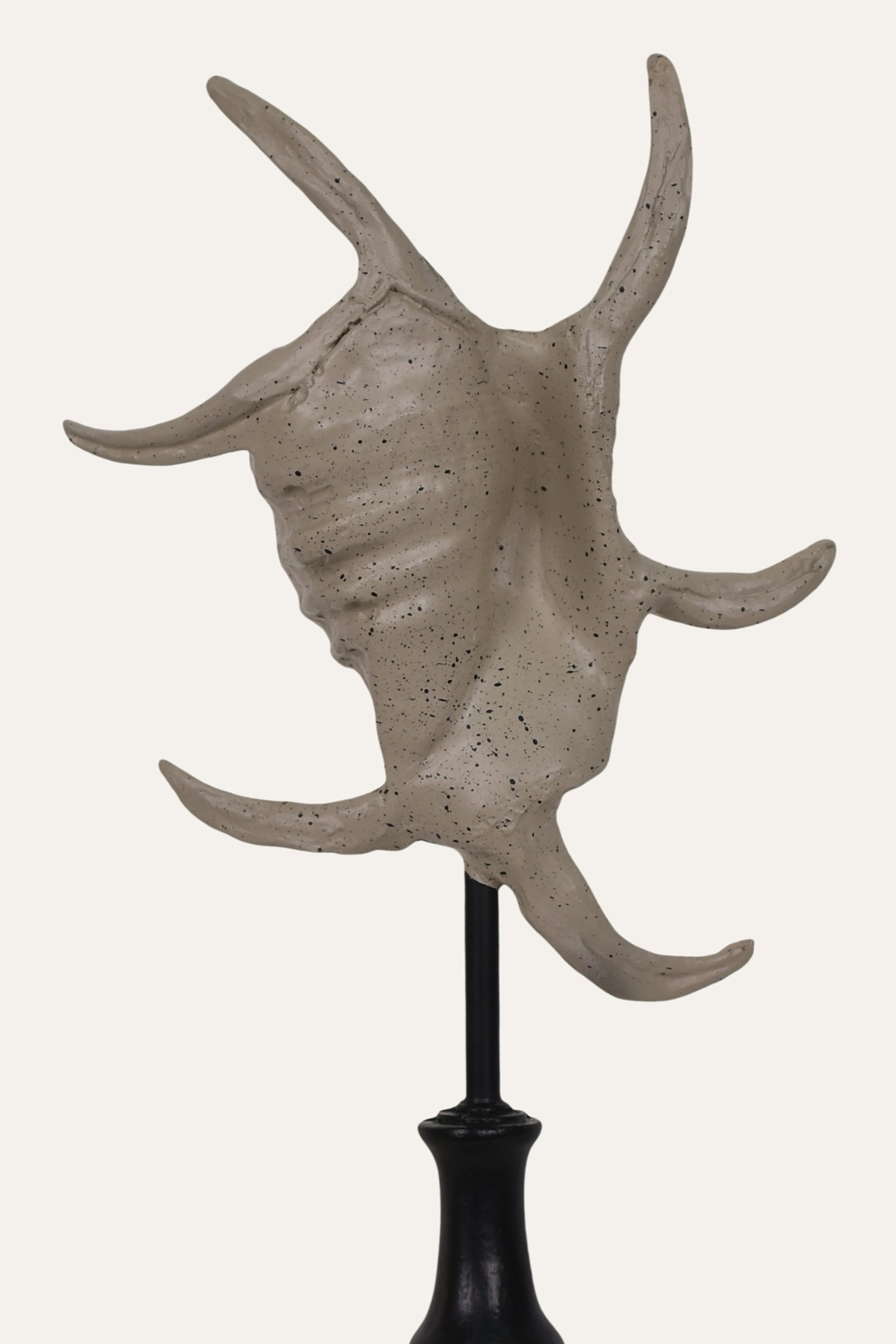 Decorative Marine Fossil Resin Sculpture Set