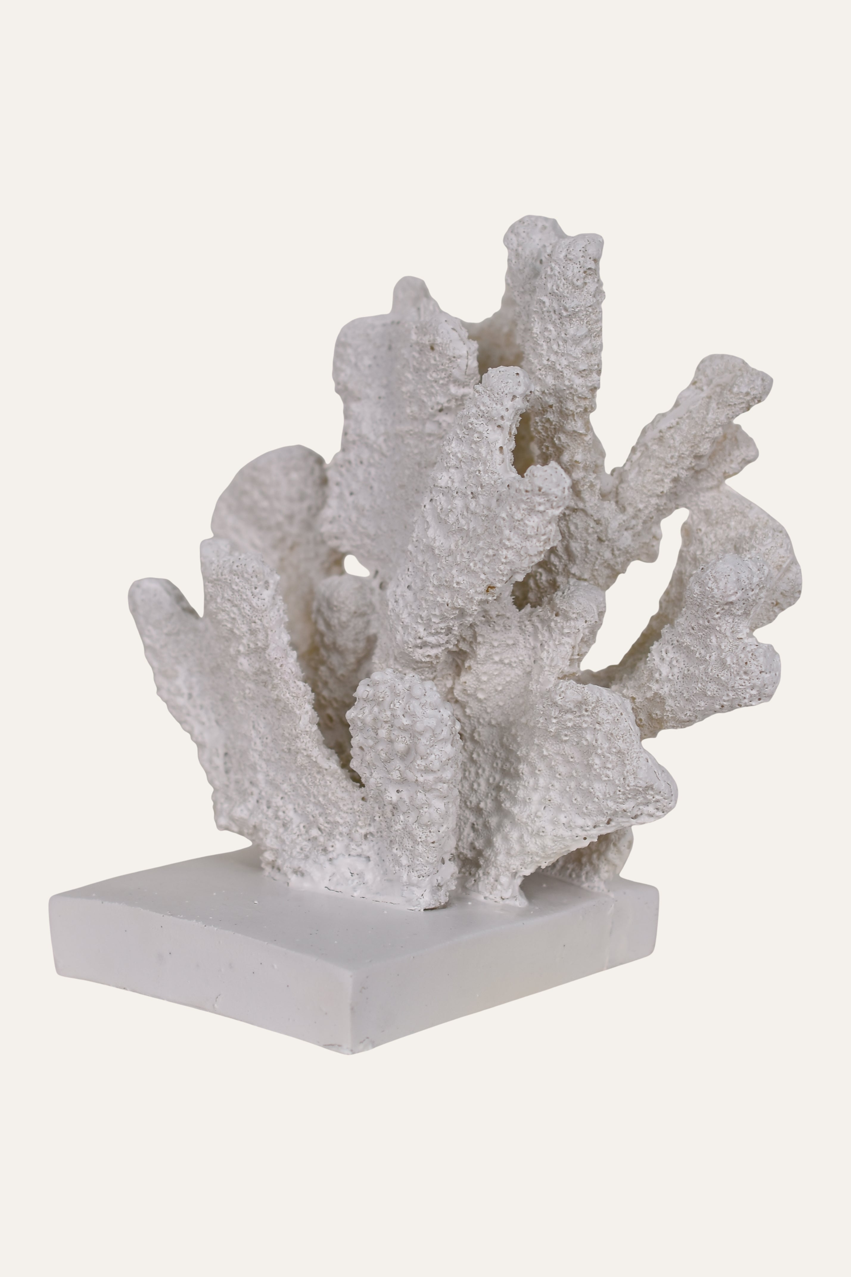 Decorative White Resin Fan Coral Sculpture on Base Table Décor Accent