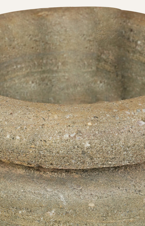 Ficus Elastica Burgundy in Textured Stoneware Pot