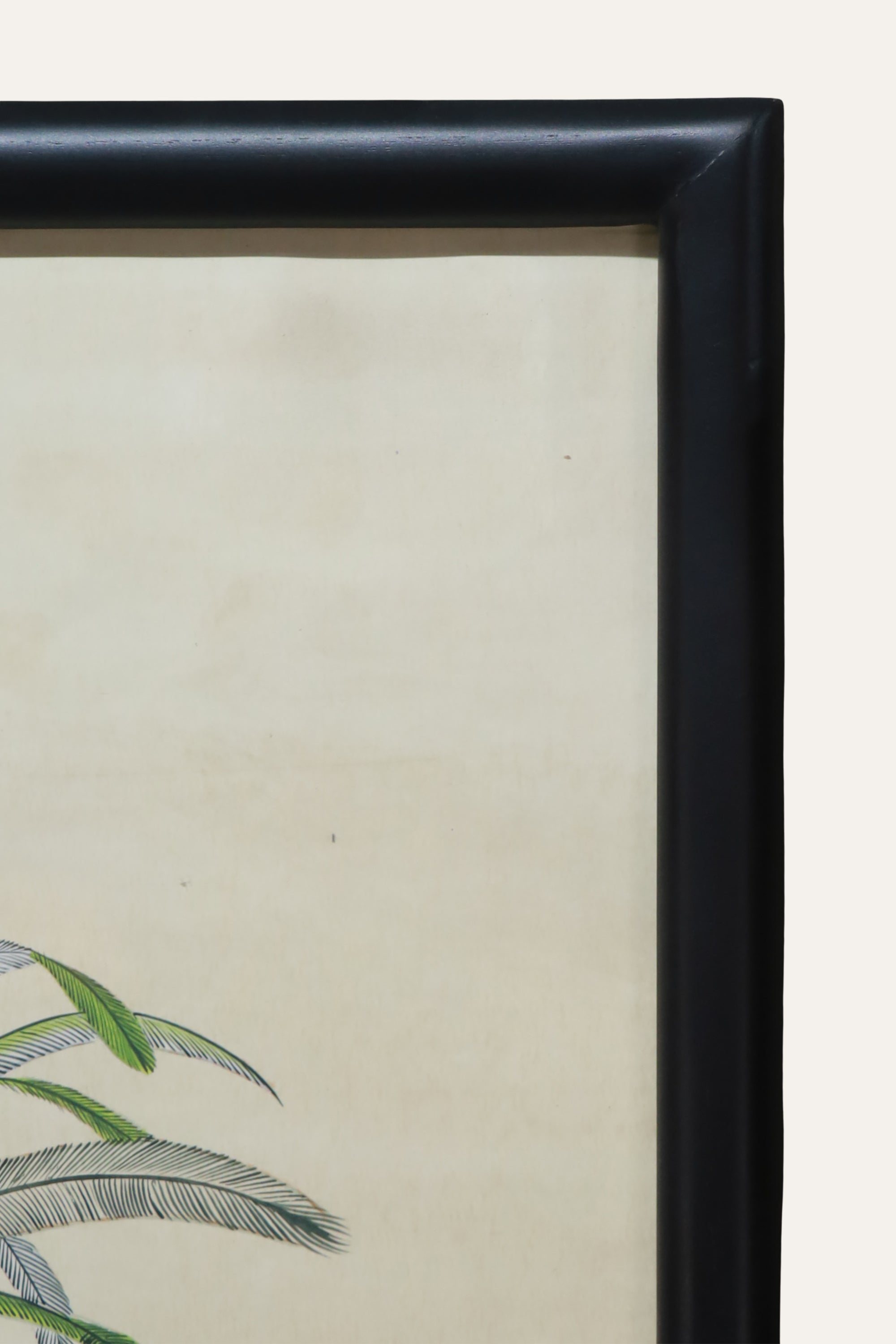 Palm Tree Botanical Print for Calm Living Room & Study Walls