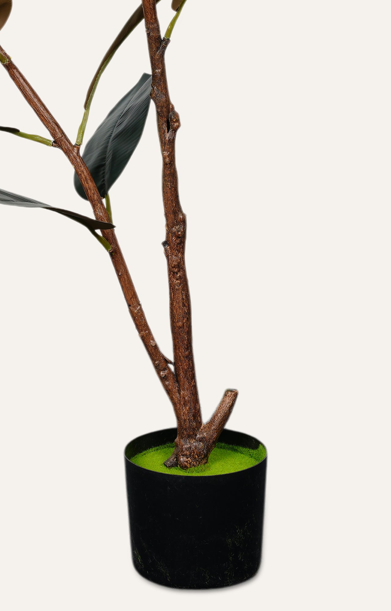 Artificial Rubber Plant – 4 Feet
