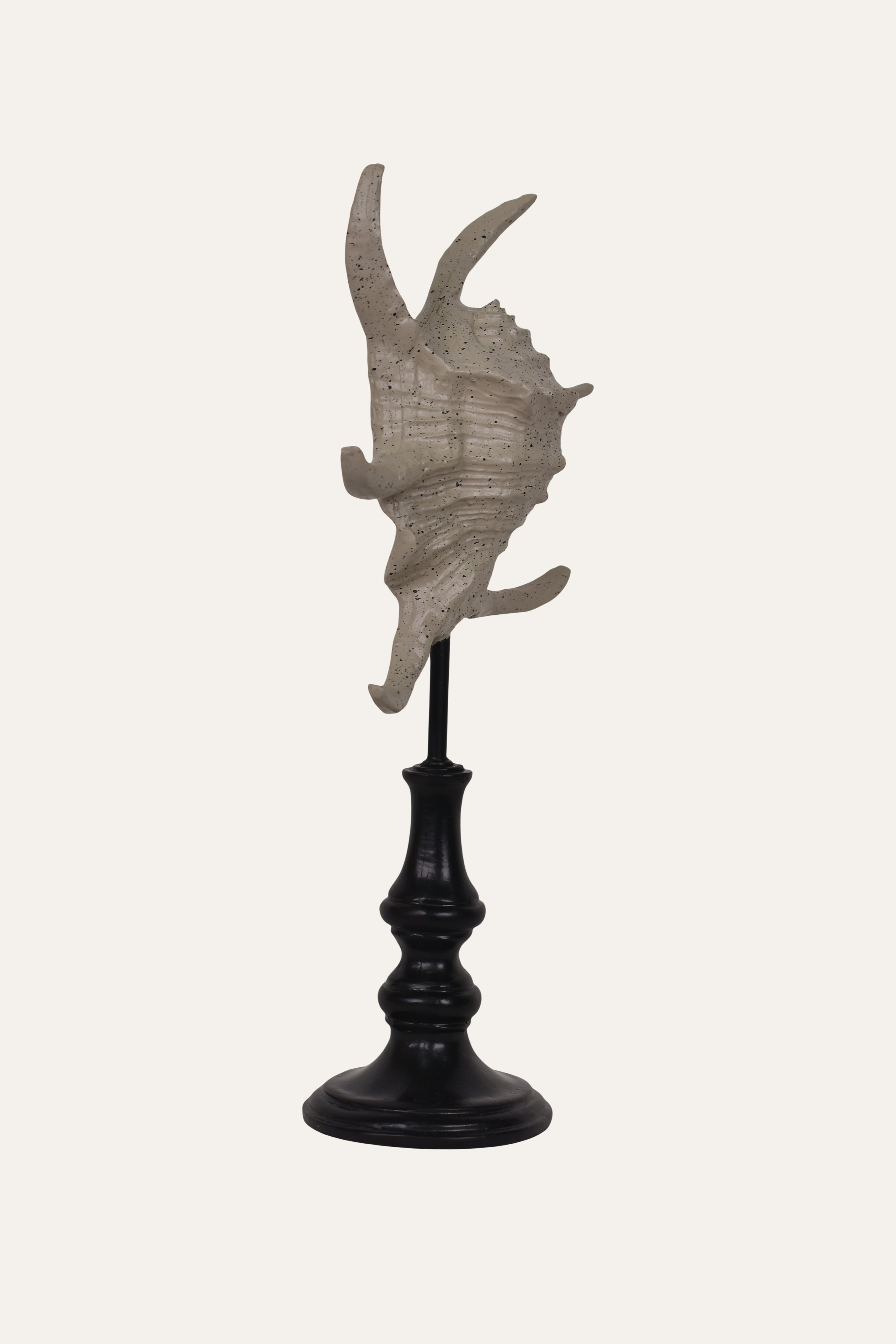 Decorative Marine Fossil Resin Sculpture Set