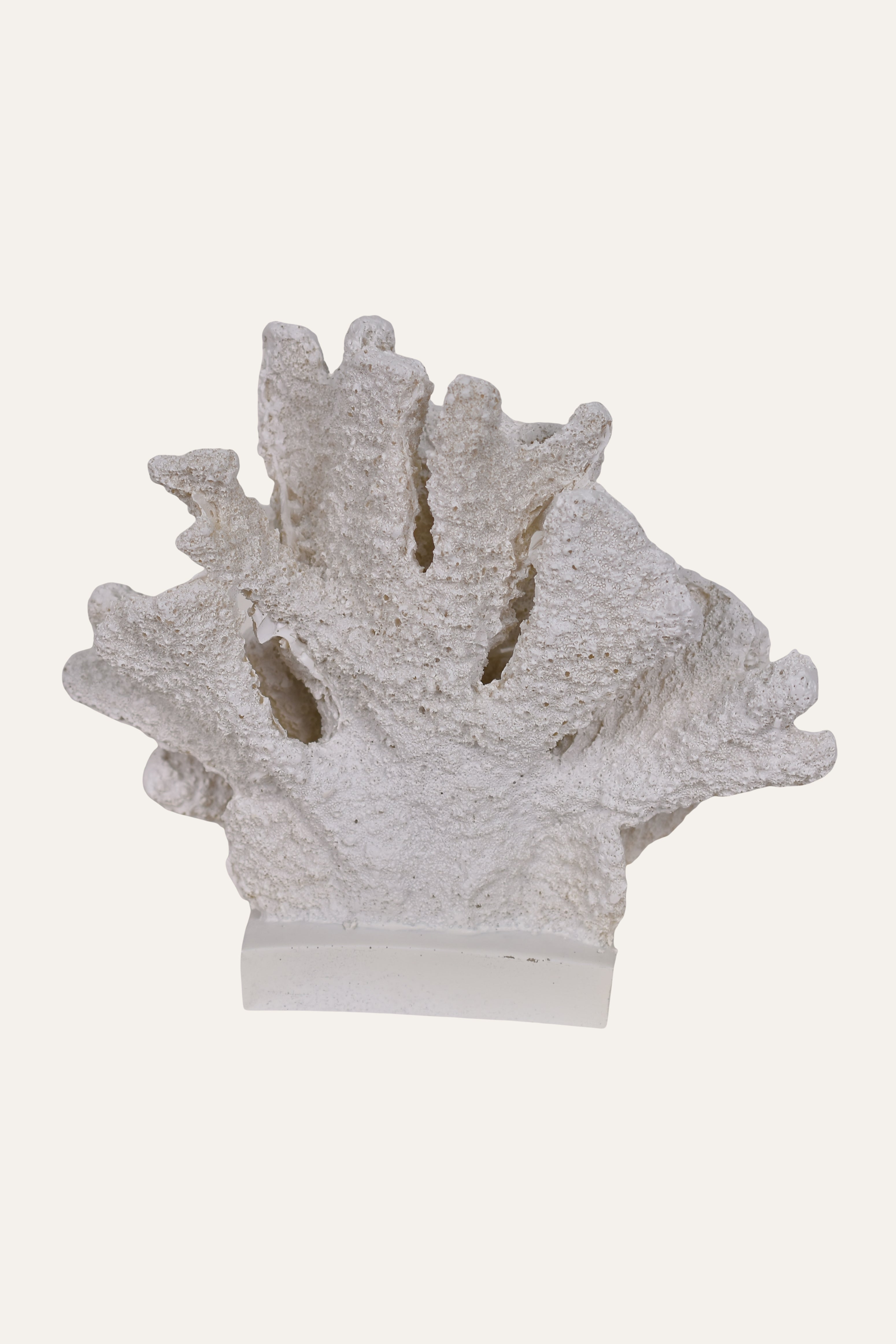 Decorative White Resin Fan Coral Sculpture on Base Table Décor Accent