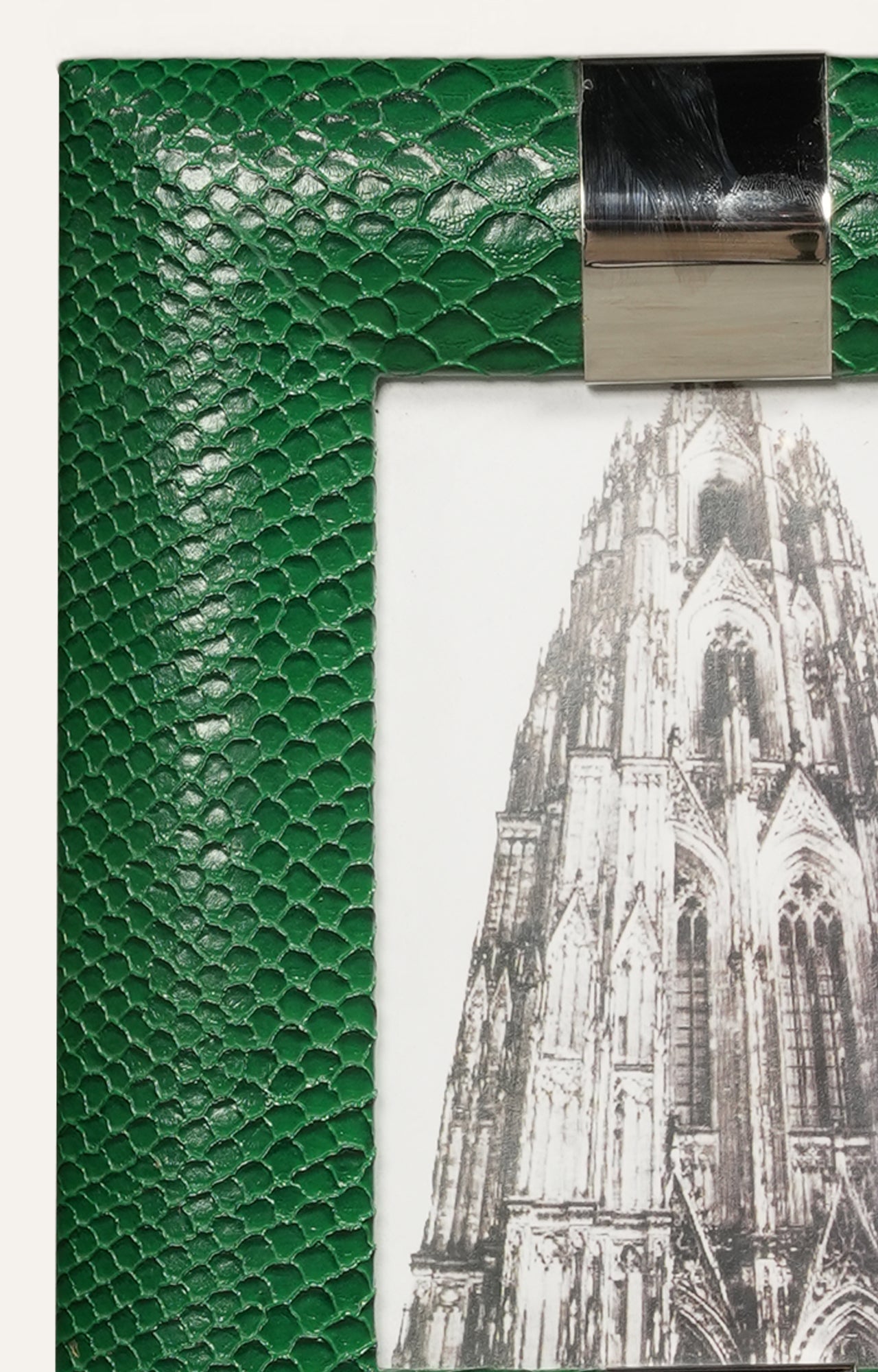 Emerald Python Duo Photo Frames - Set Of 2