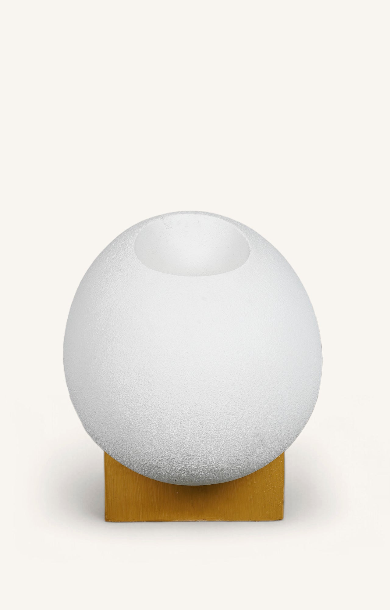 Egg Shaped Resin Planter