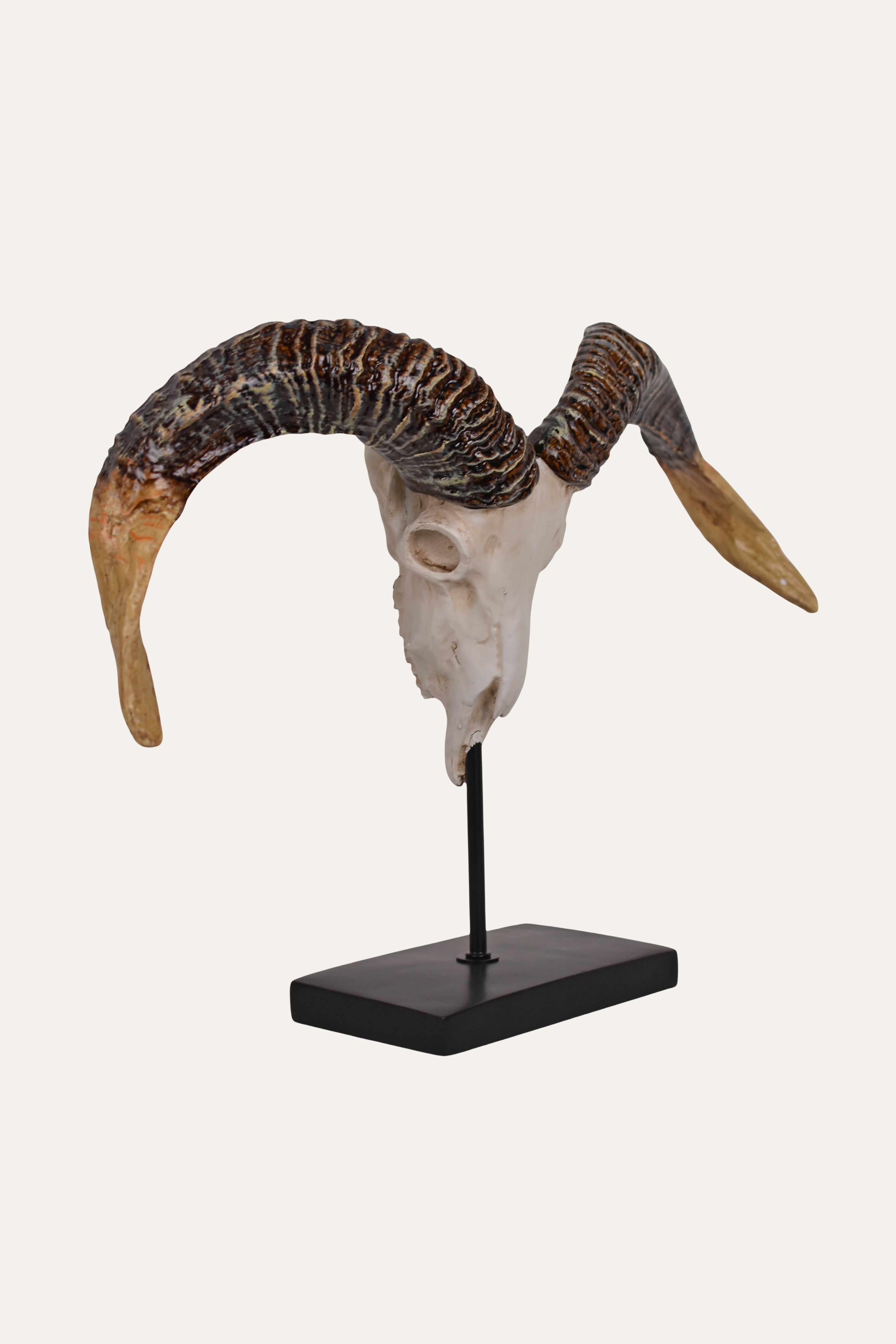 ram skull for decor