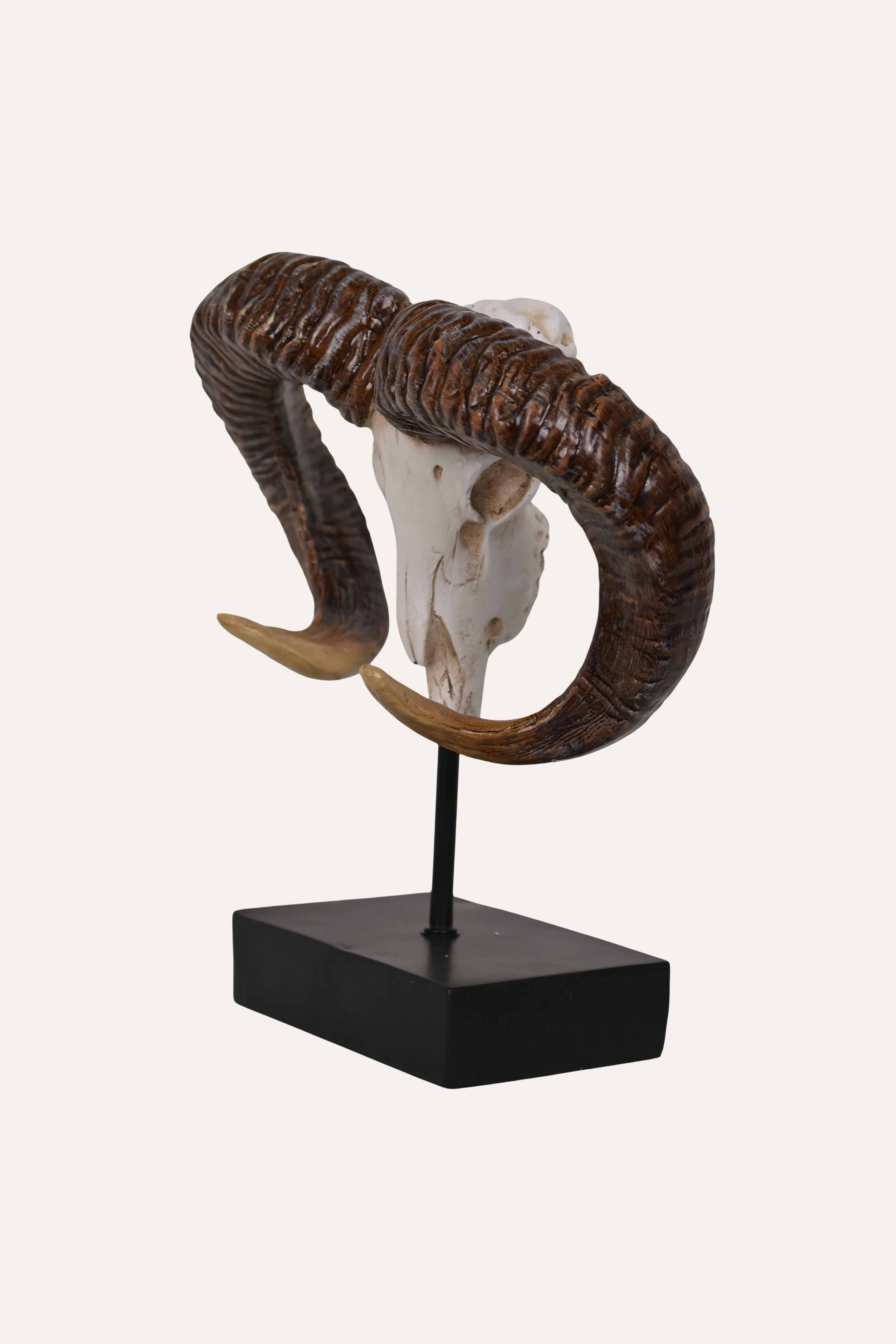 Decorative Skull Sculpture