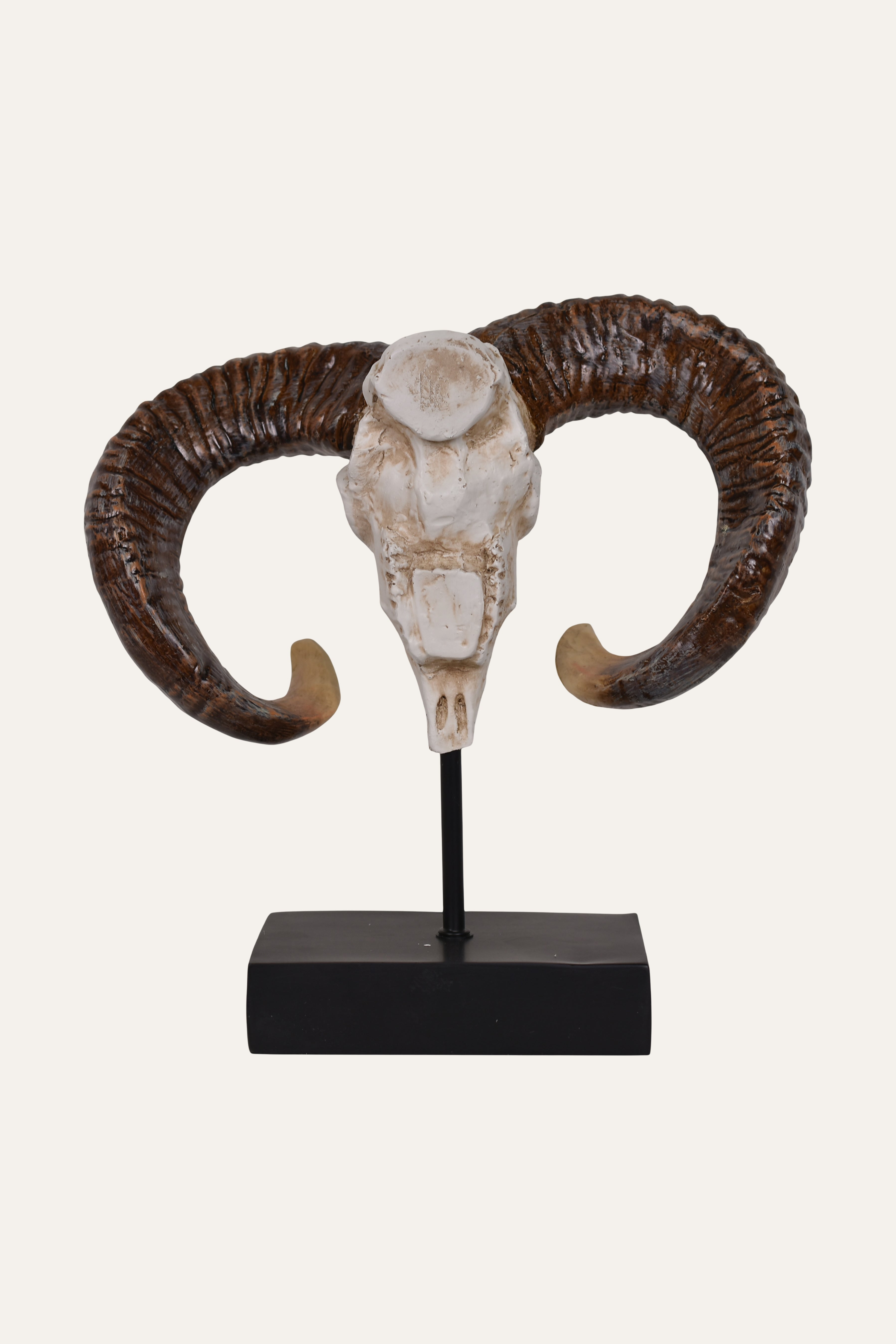 Decorative ram skull