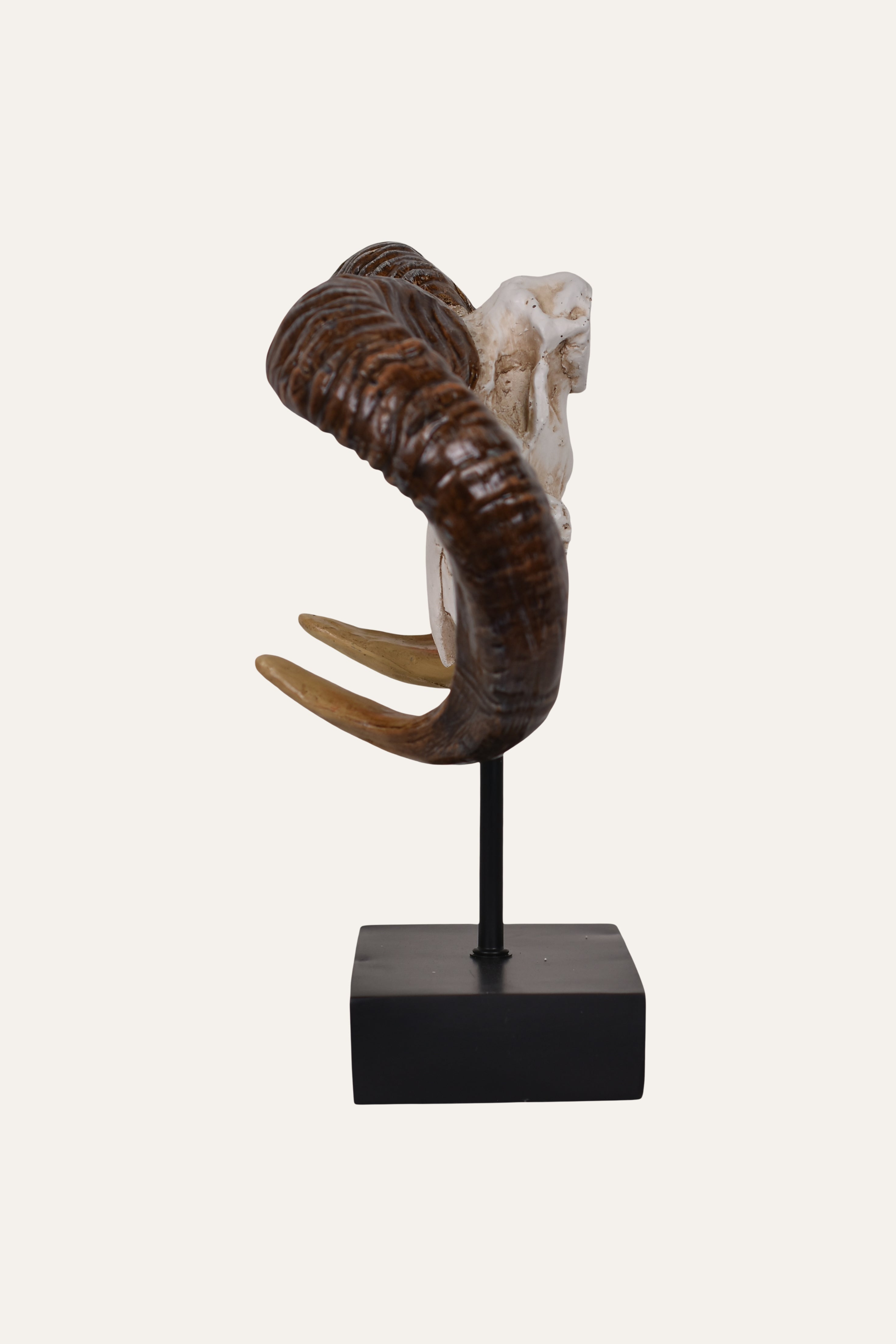 Decorative item for home
