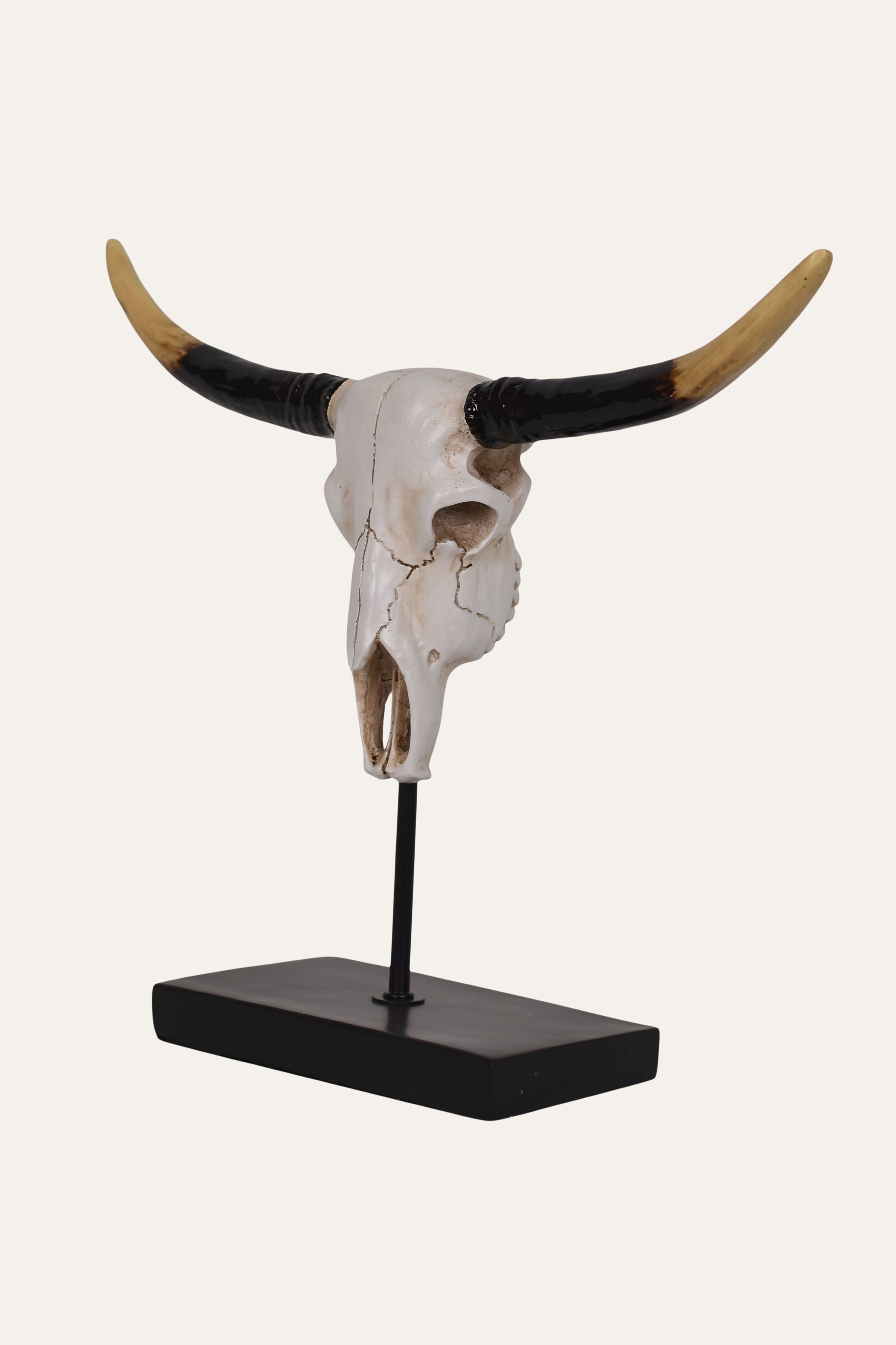 Longhorn Skull Sculpture