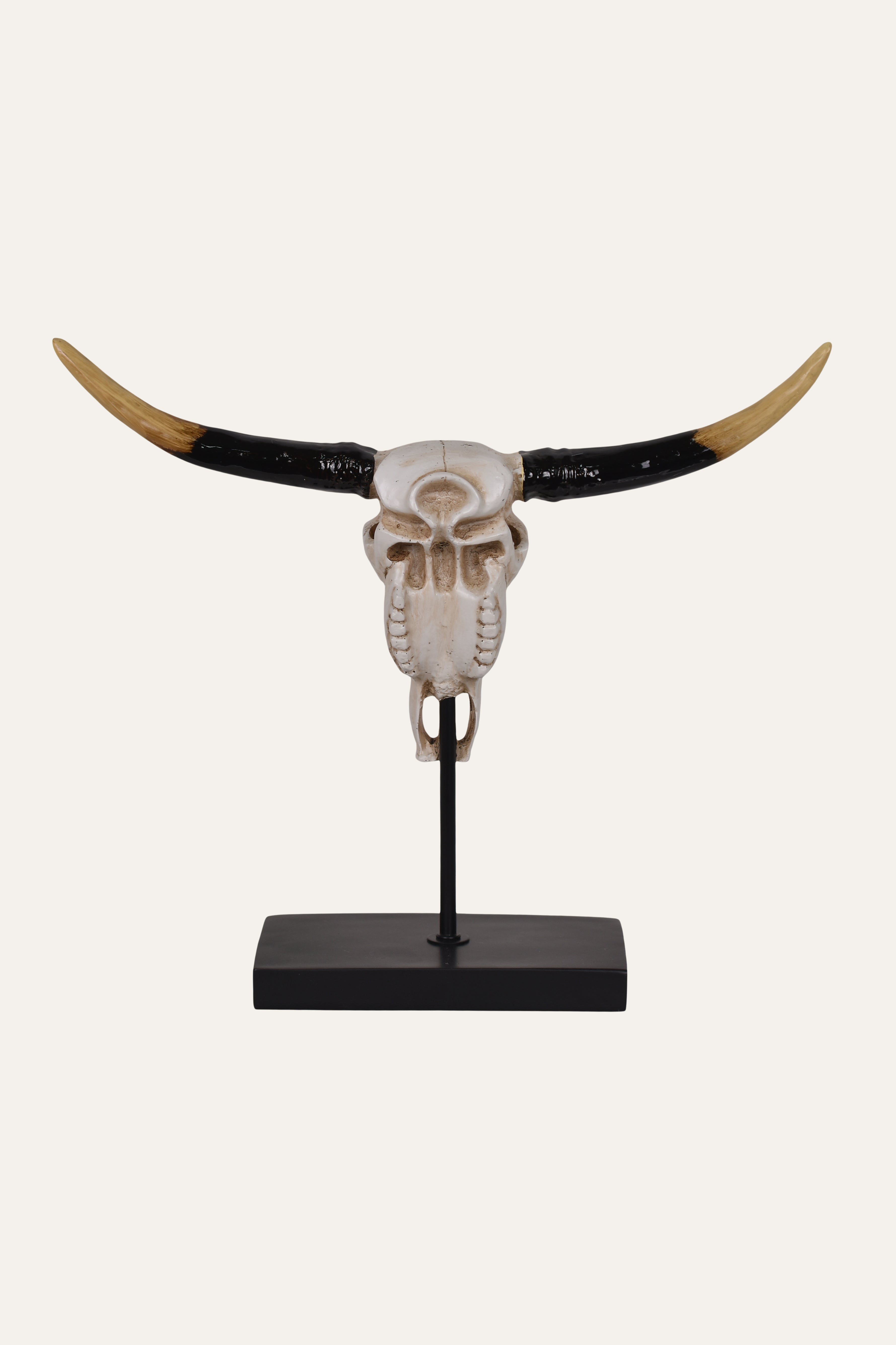 Decorative skull with long horns