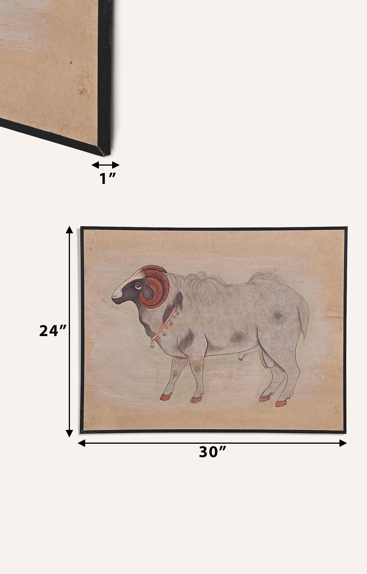 A royal ram with gold chain_size