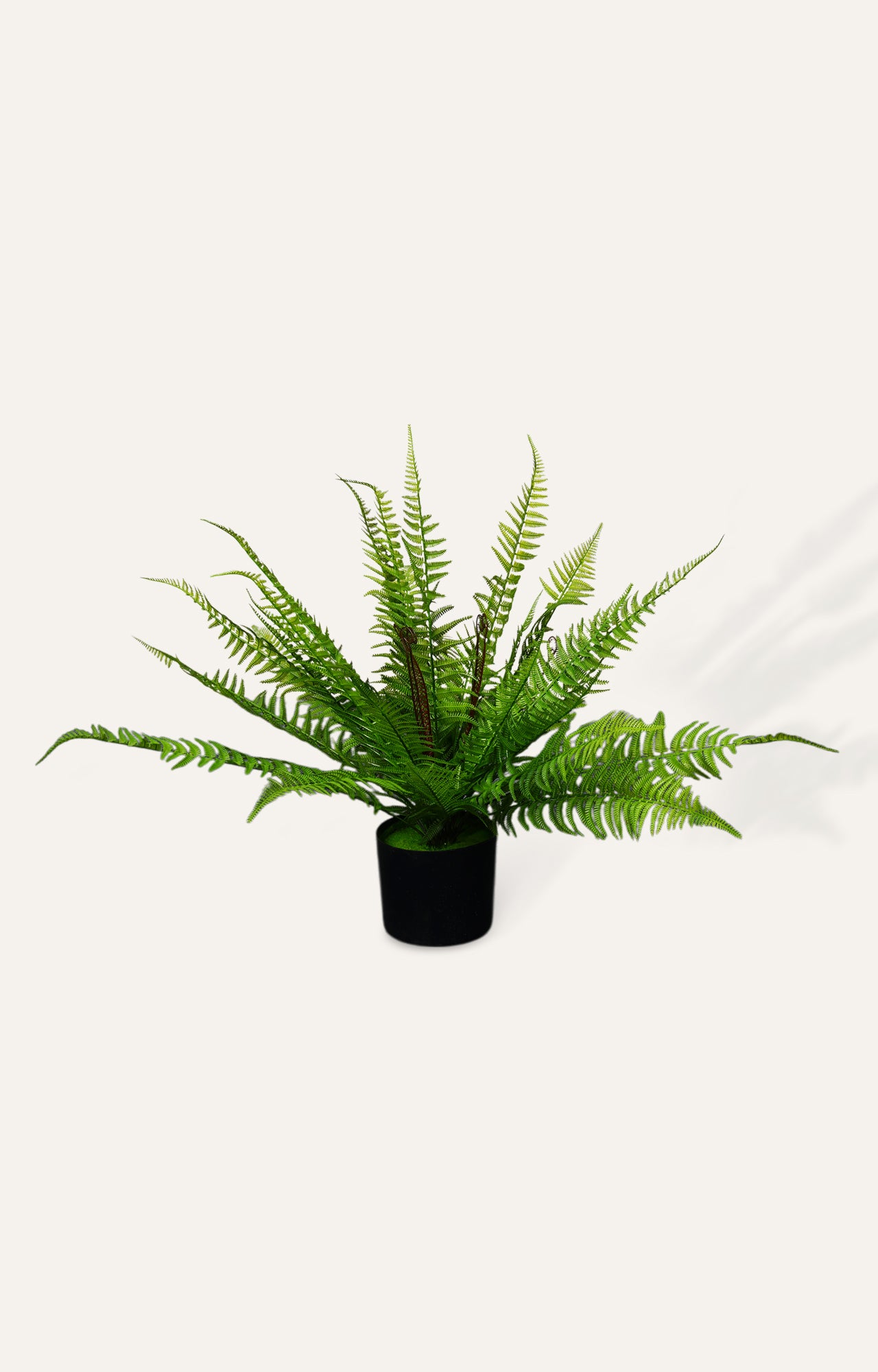 Artificial Fern Bush