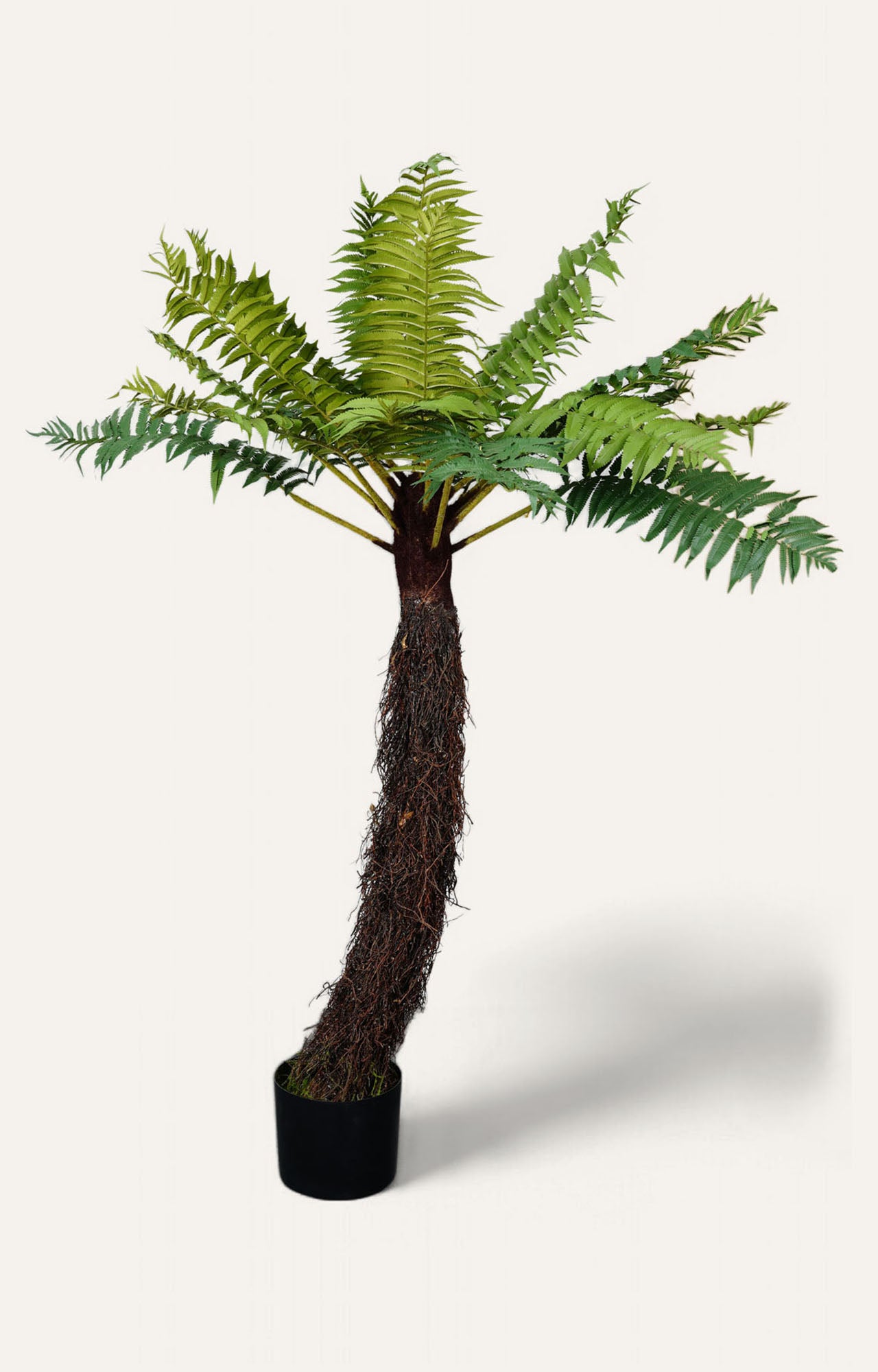 Artificial Tree Fern Plant