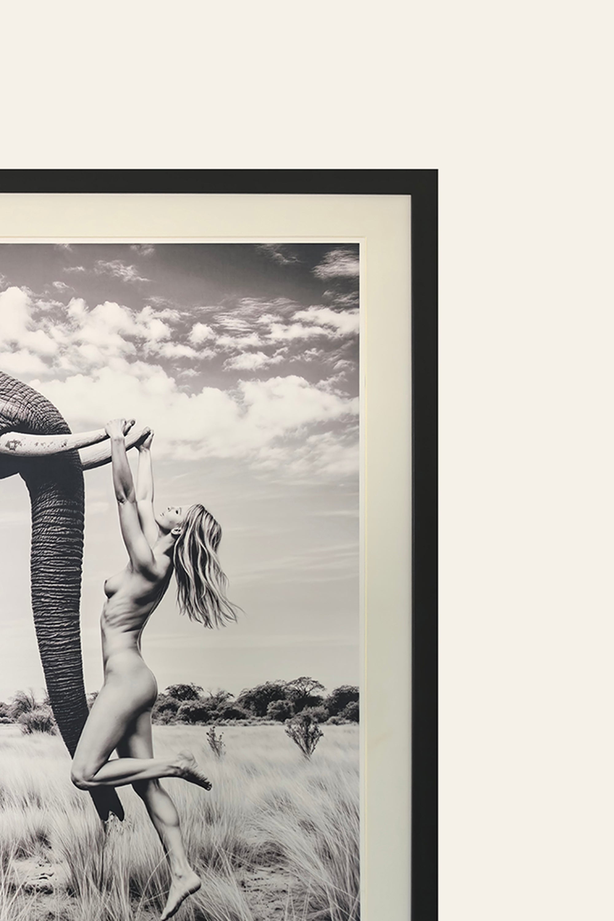 Black and White Elephant Portrait Canvas Painting