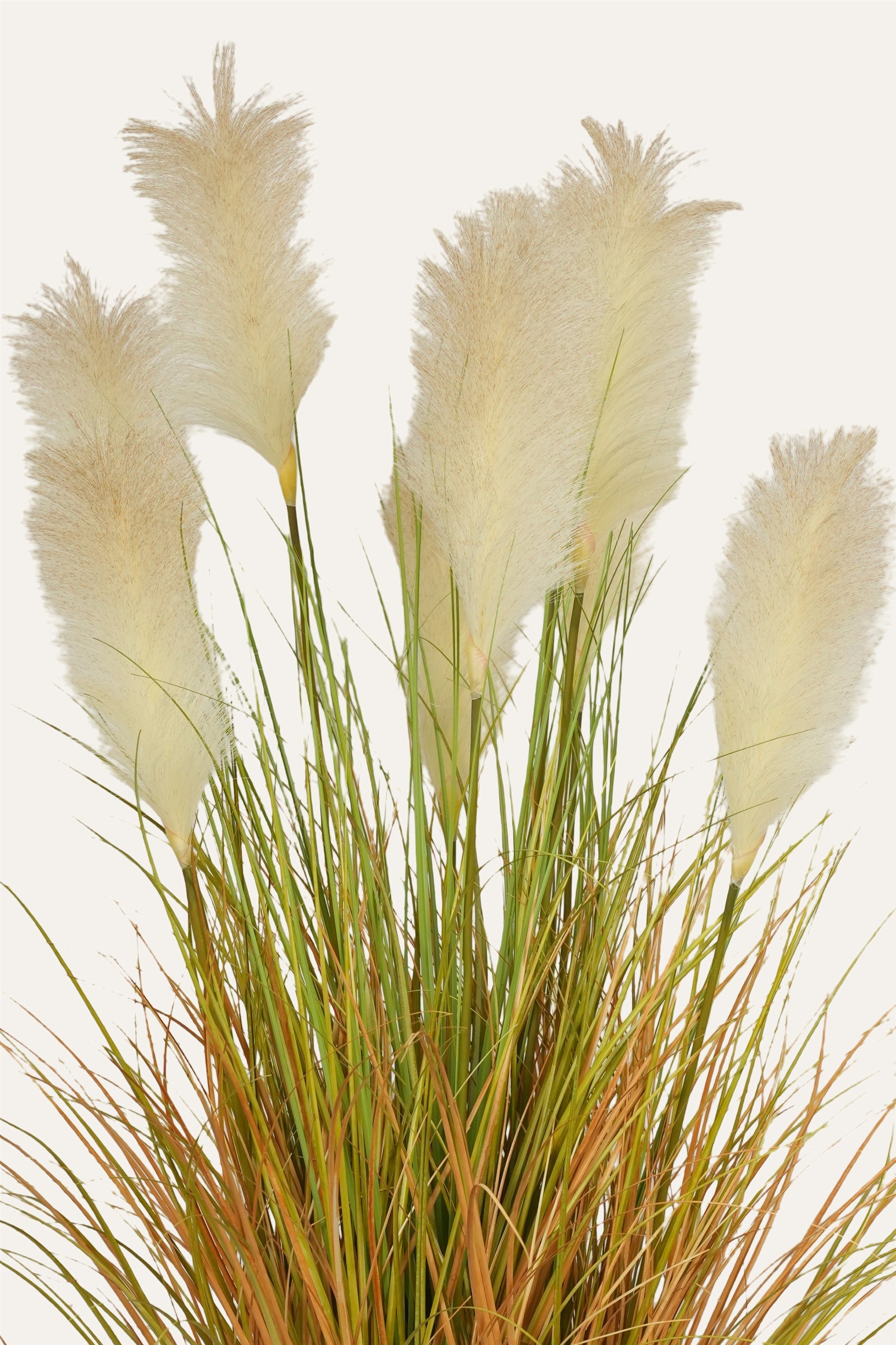 Boho style pampas décor