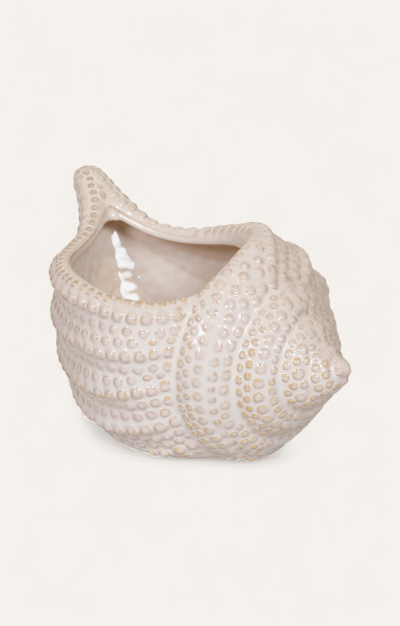 Ceramic Shell-Shaped Planter