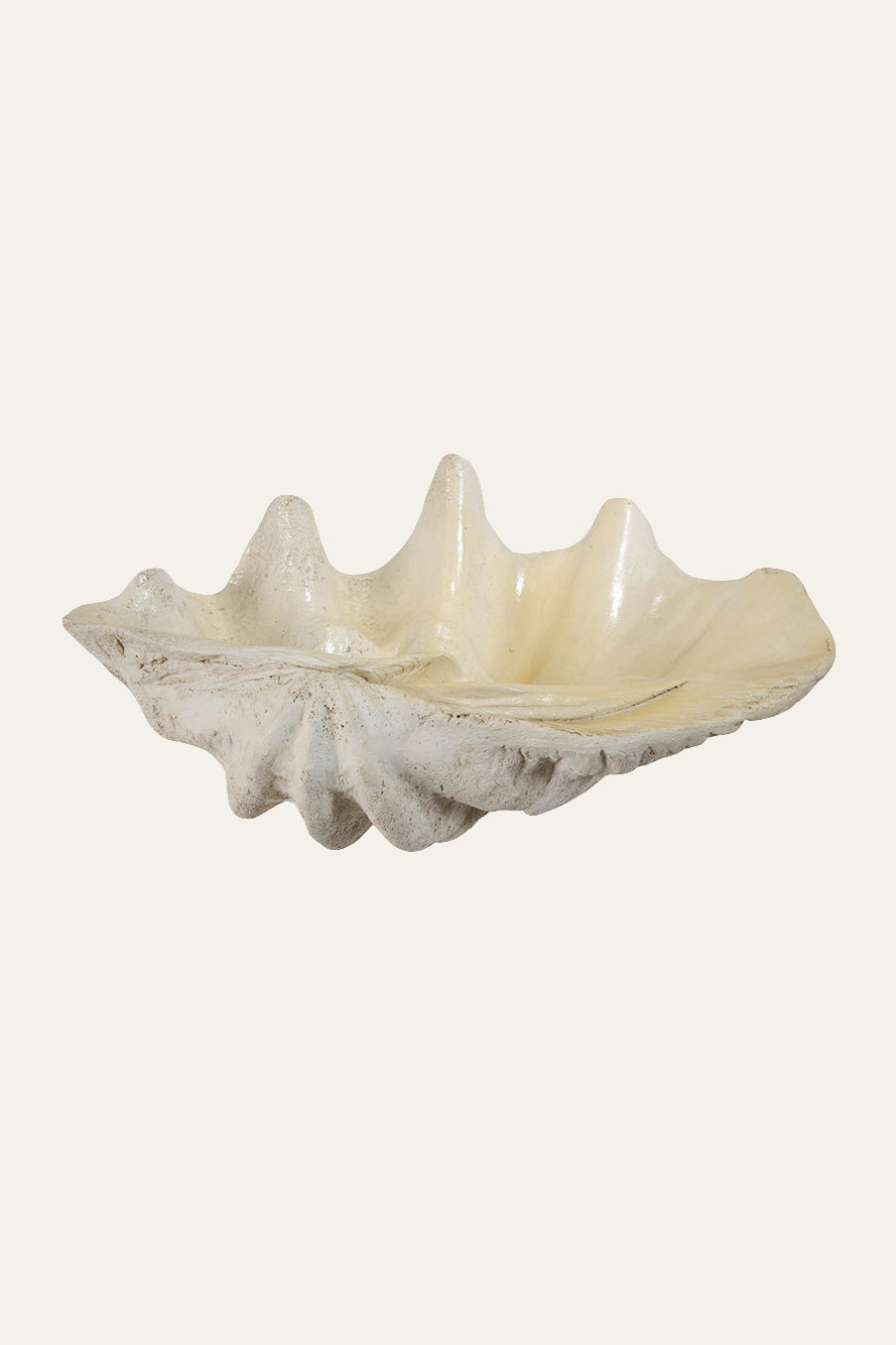 Clam Shell Decorative Bowl