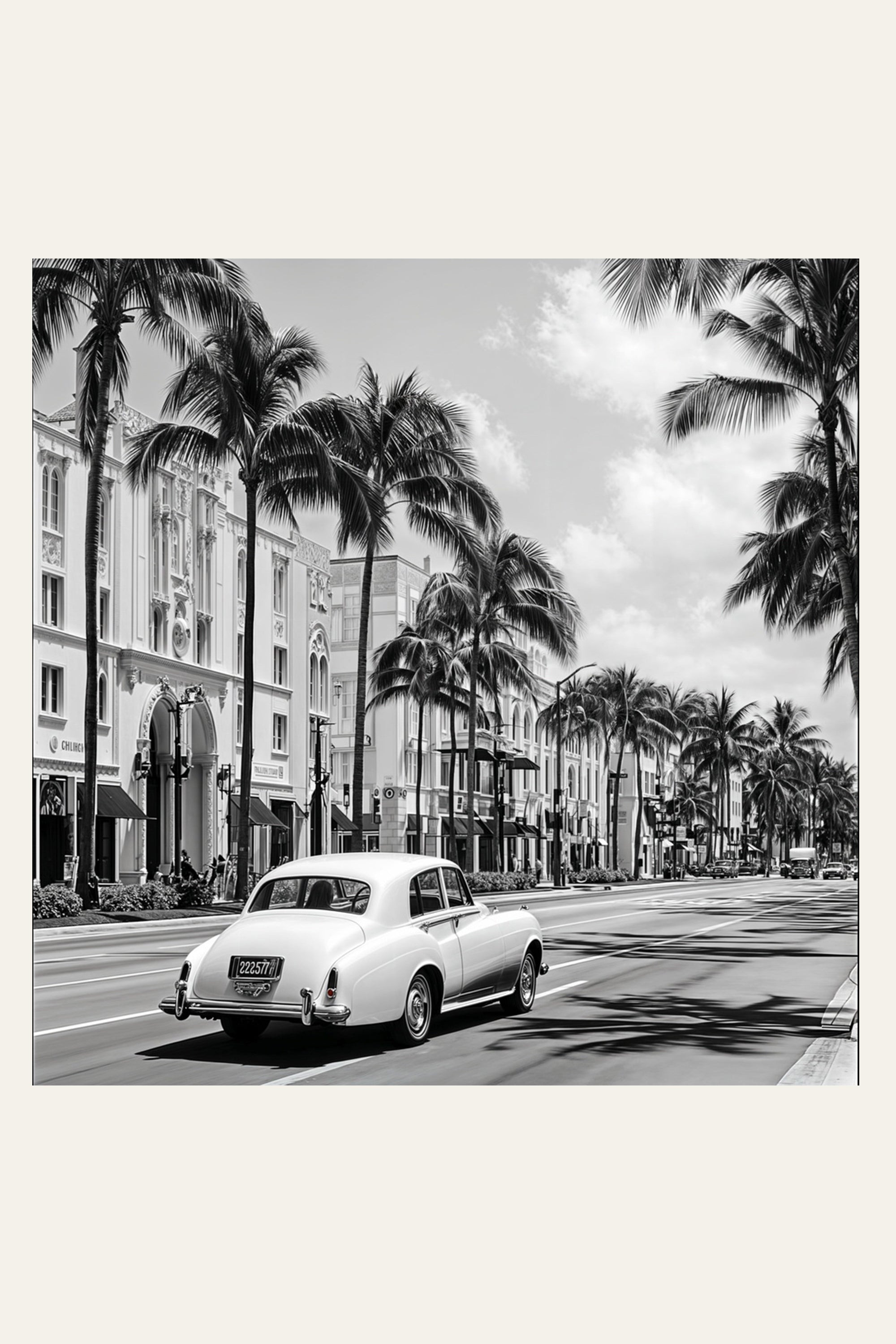Classic Tropical Drive wall art