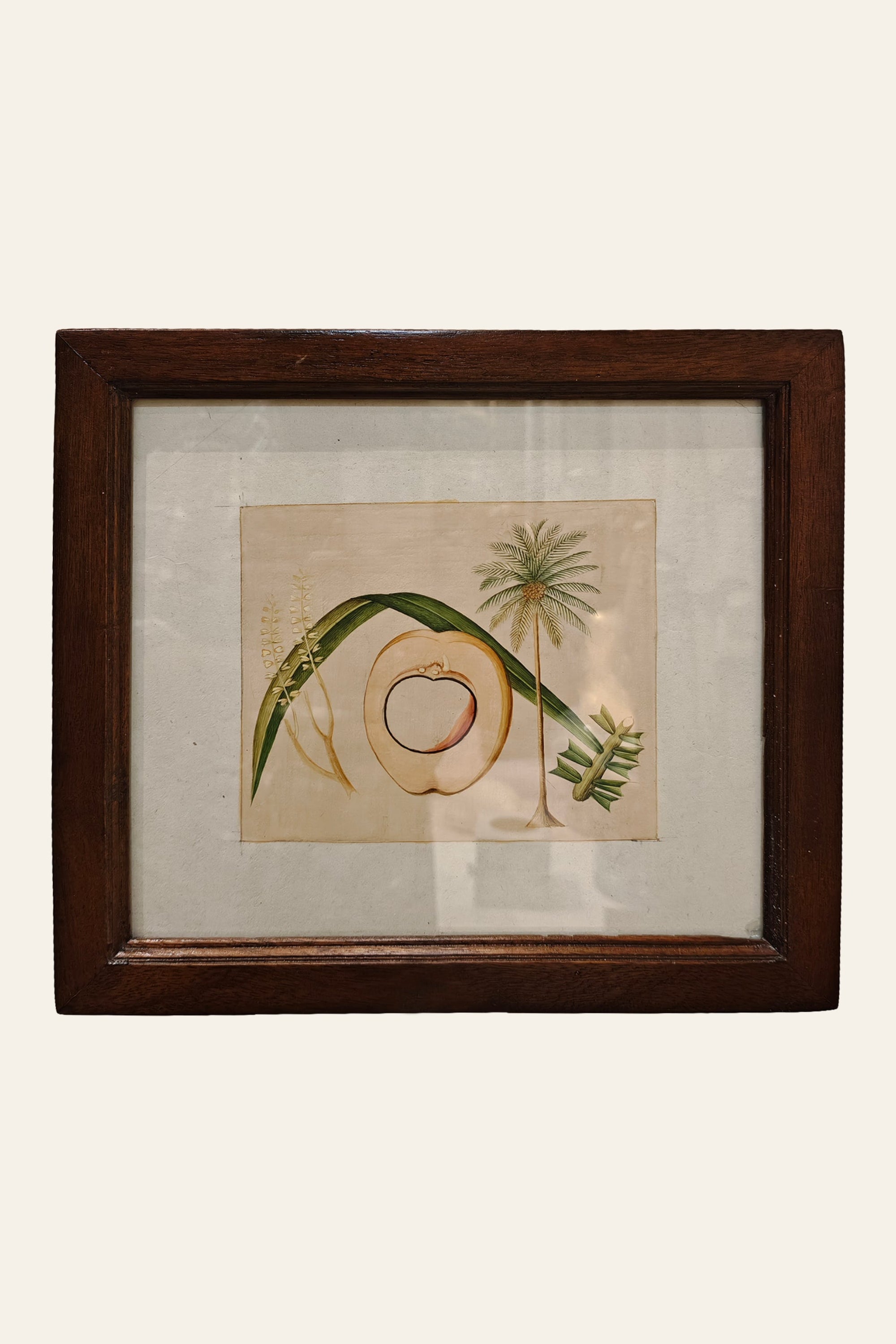 Coconut Tree Botanical Miniature Art