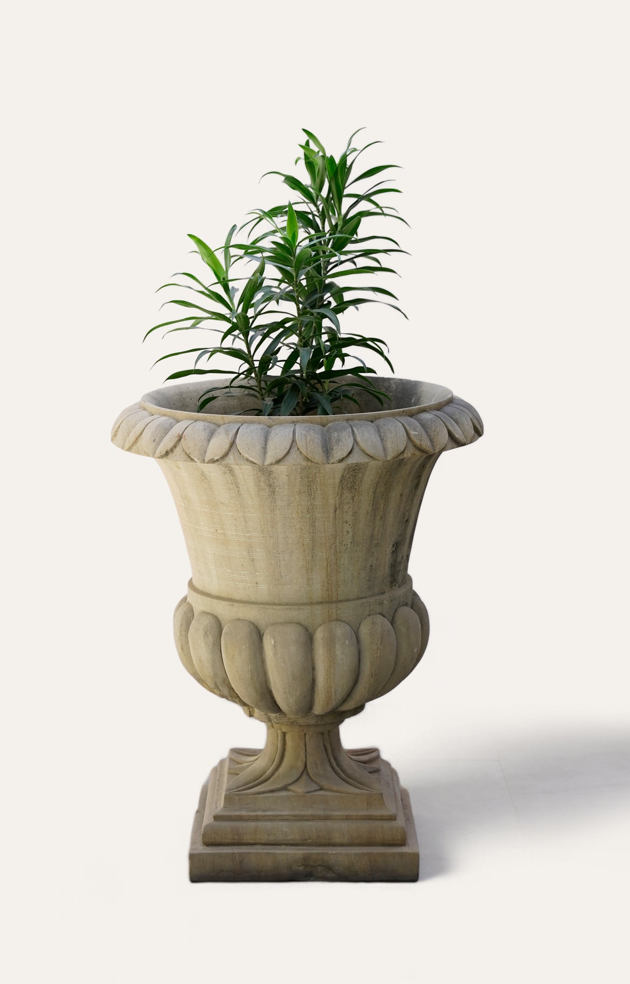 Curved Charm: The Sandstone Planter with a Twist _2