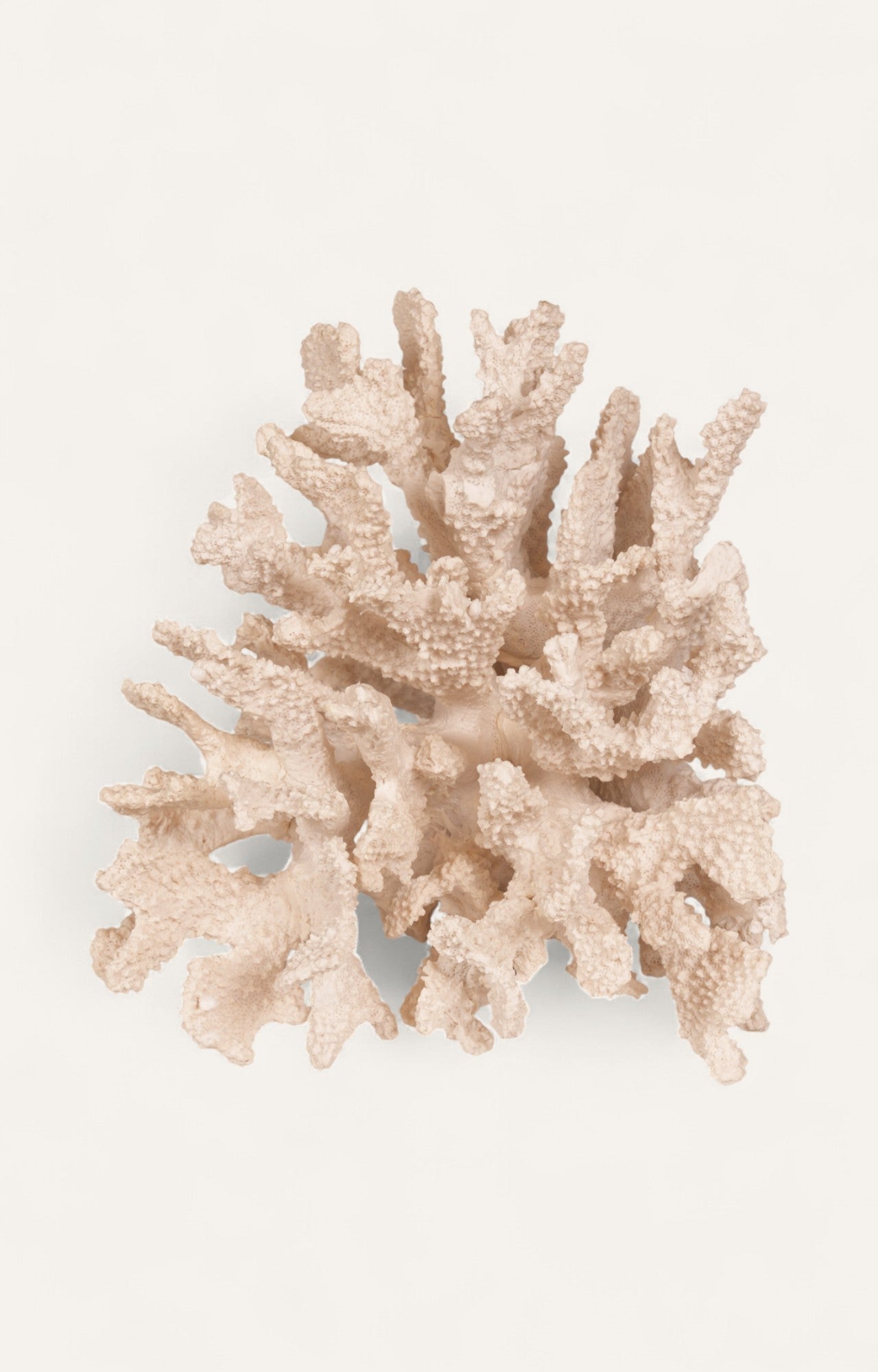 Polyresin Coral Table Decor